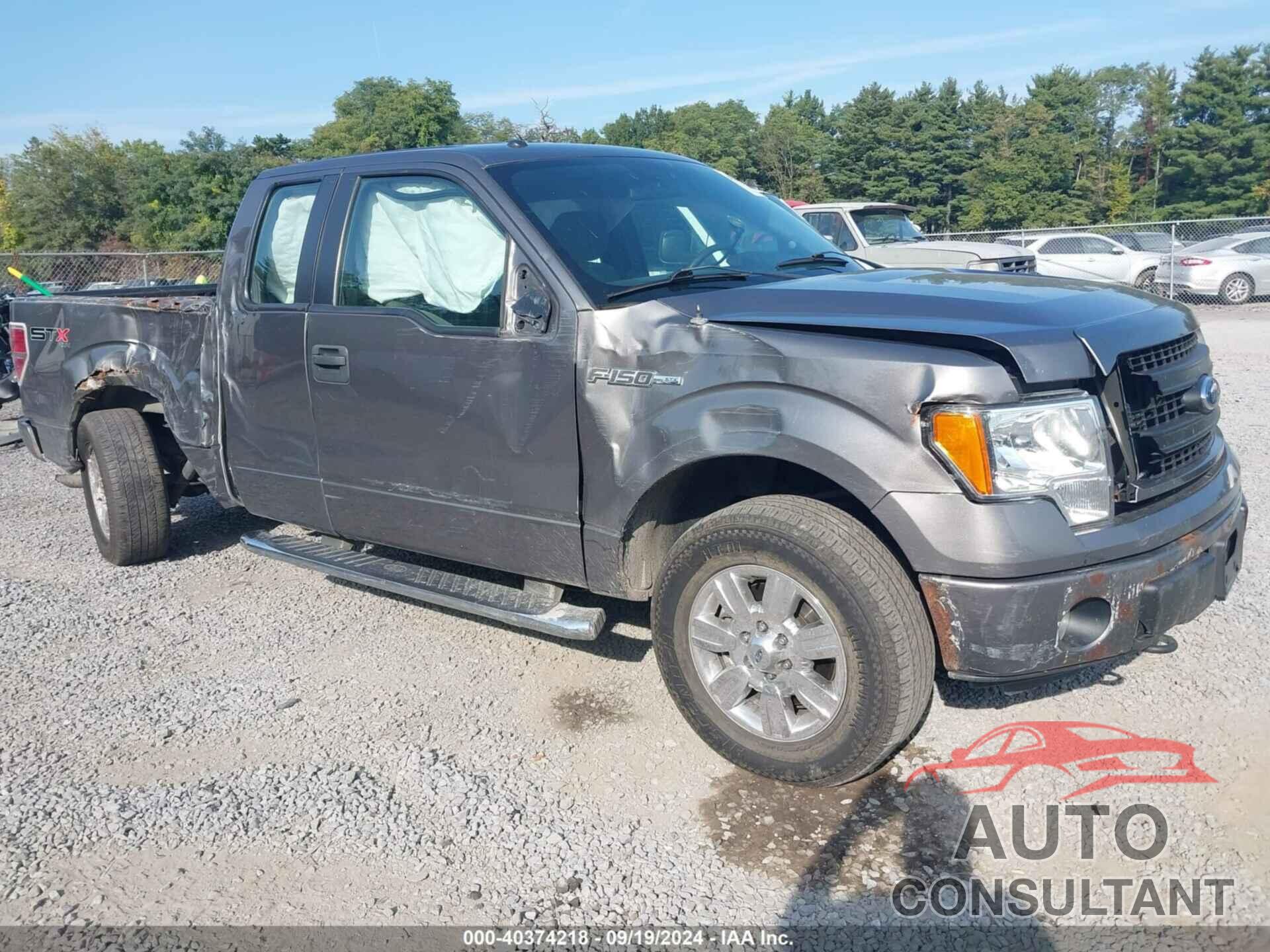 FORD F-150 2013 - 1FTFX1EF5DFB94584