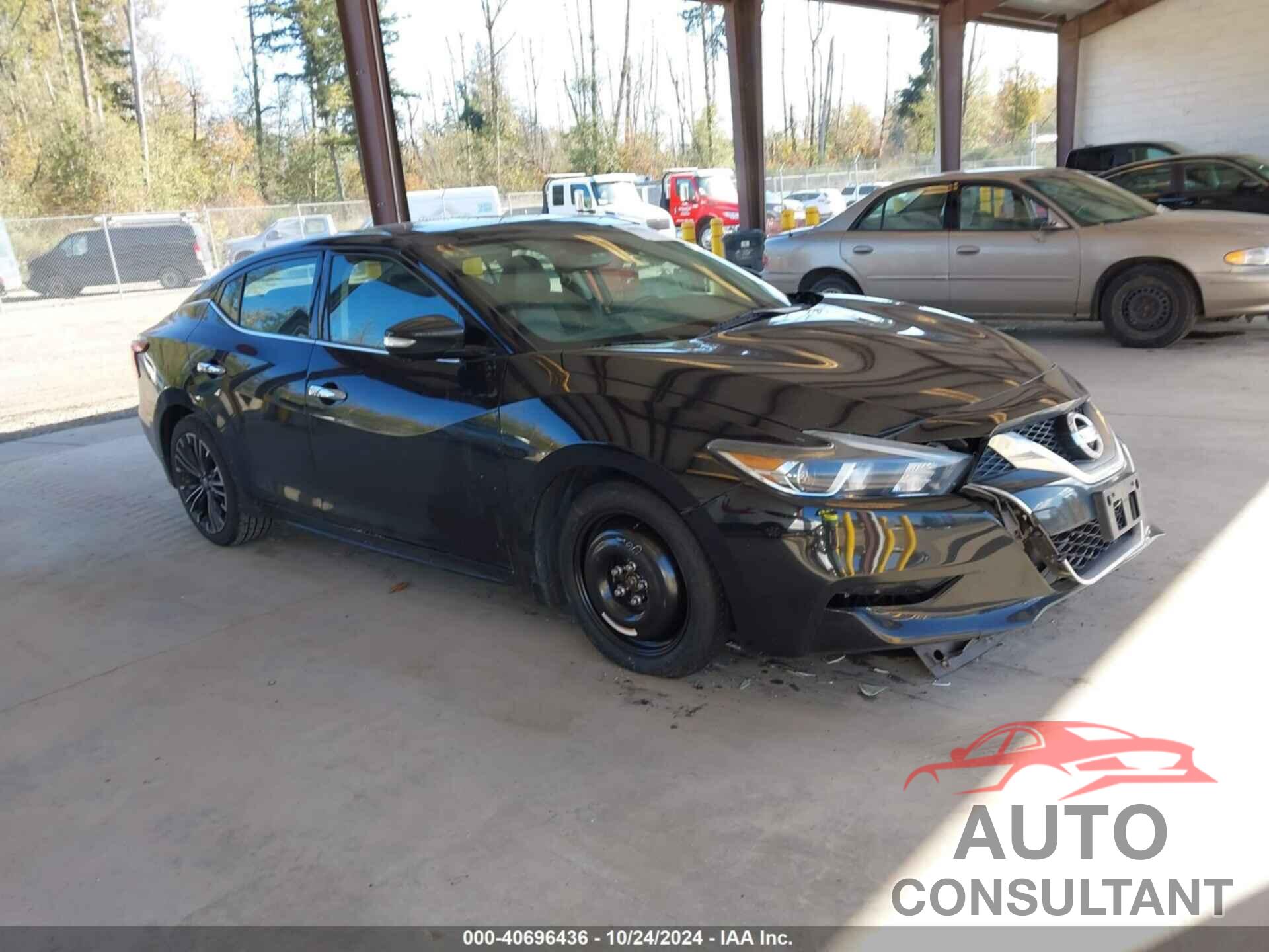 NISSAN MAXIMA 2016 - 1N4AA6AP6GC386891