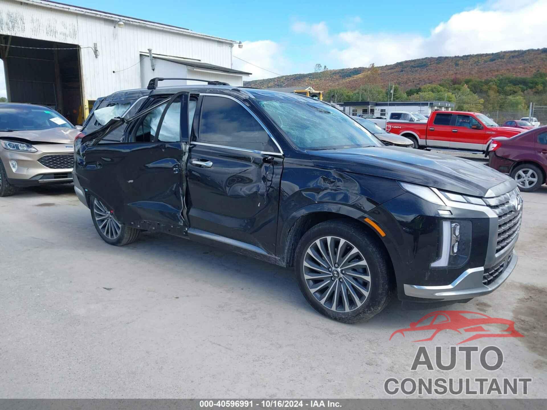 HYUNDAI PALISADE 2024 - KM8R7DGE5RU659639