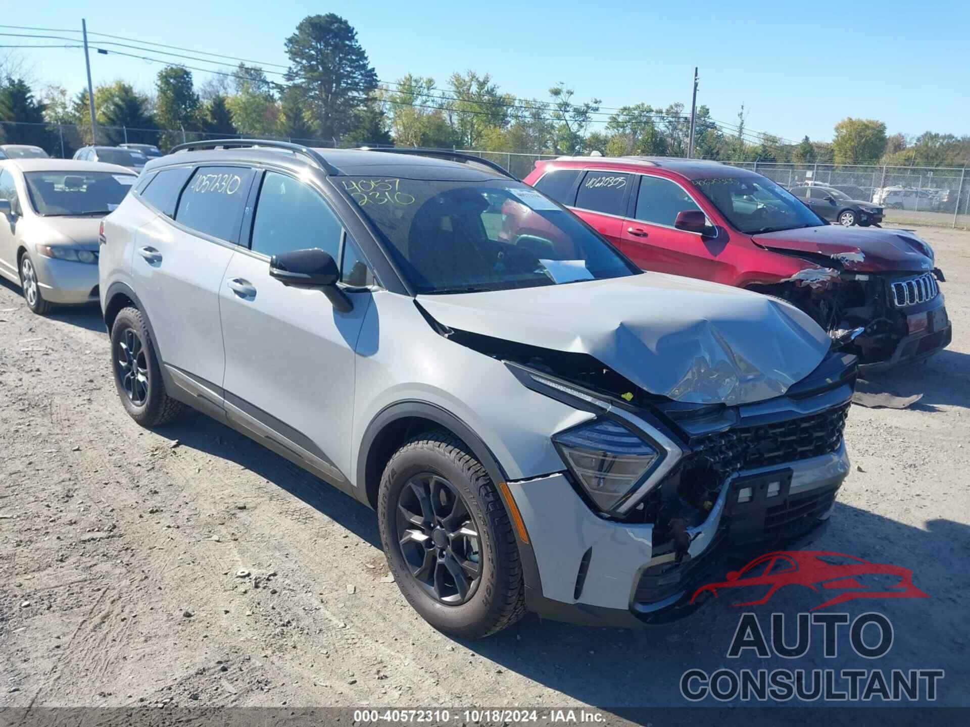 KIA SPORTAGE 2024 - 5XYK7CDF1RG214894