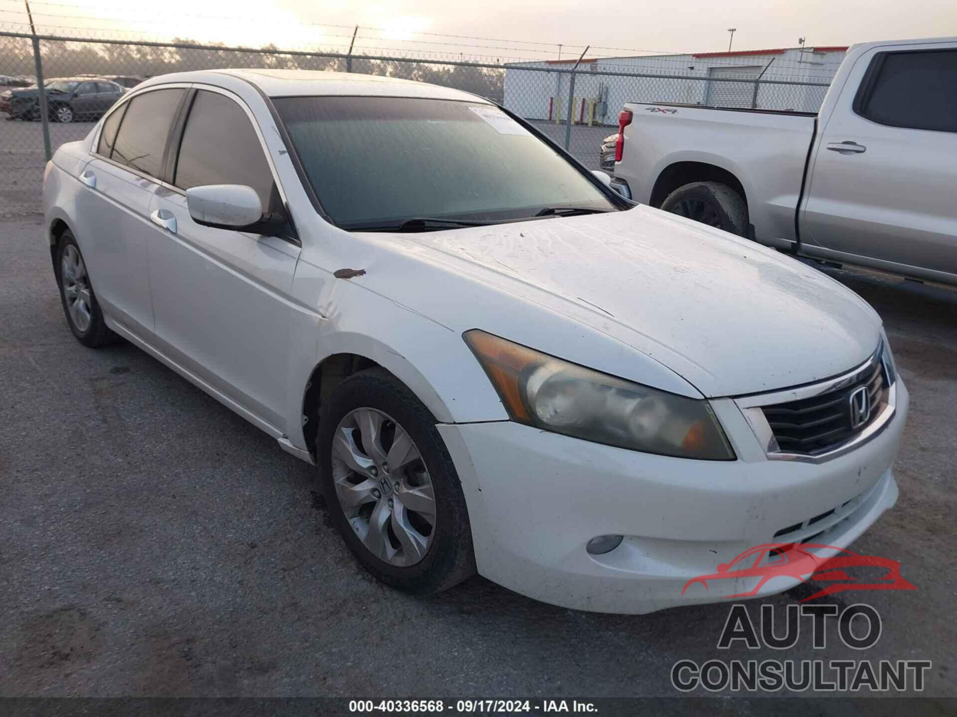 HONDA ACCORD 2009 - 5KBCP36889B001307