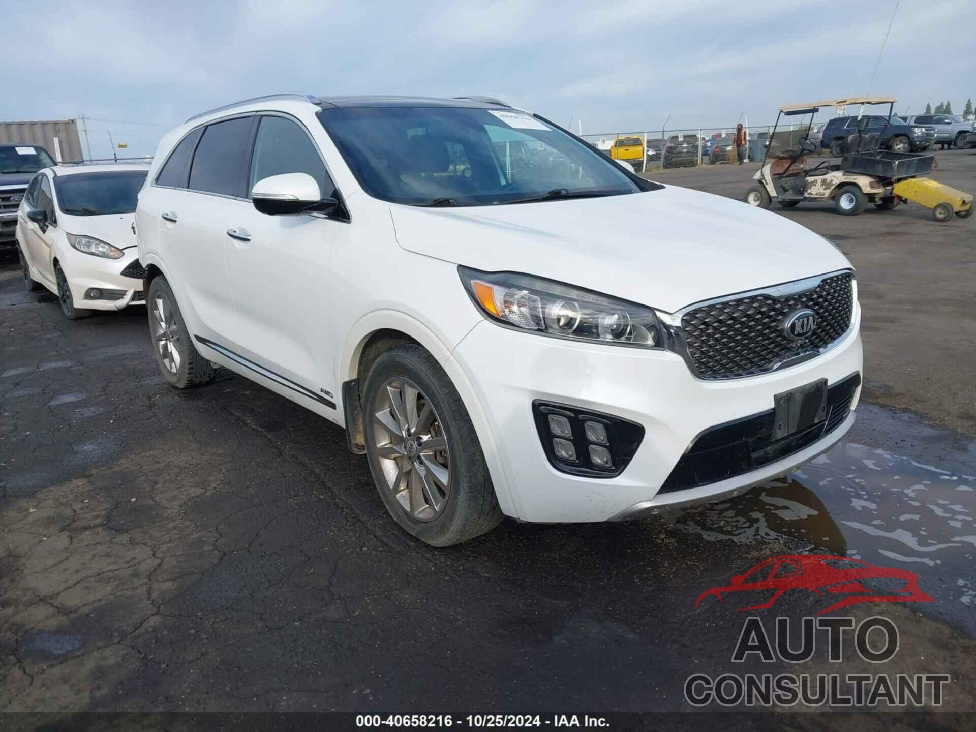 KIA SORENTO 2017 - 5XYPKDA55HG318194