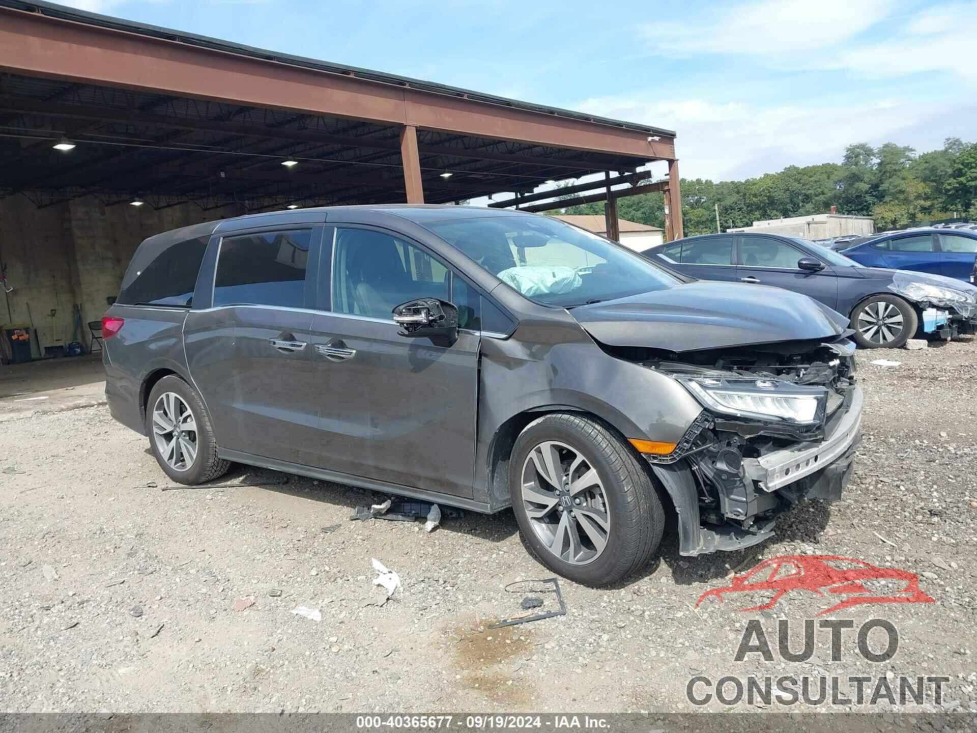 HONDA ODYSSEY 2022 - 5FNRL6H81NB049115