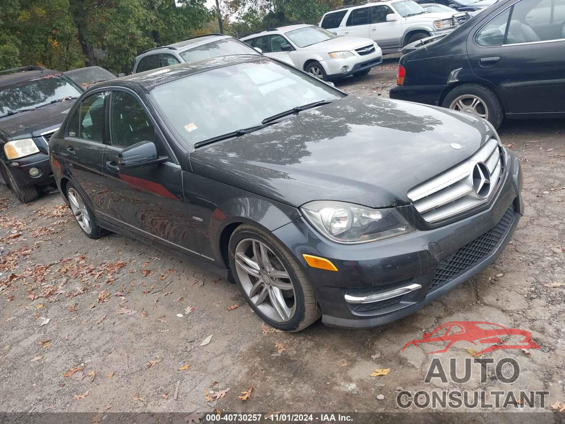 MERCEDES-BENZ C 250 2012 - WDDGF4HB9CR239563
