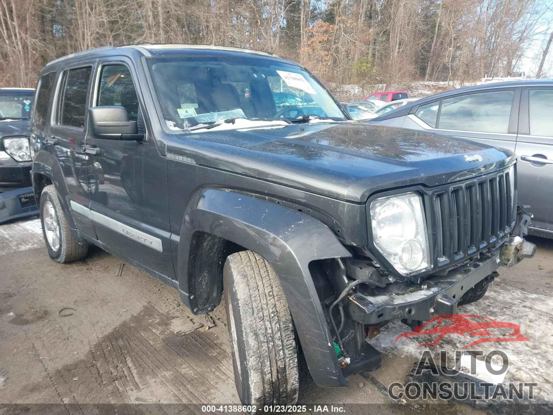 JEEP LIBERTY 2010 - 1J4PN2GK3AW162040