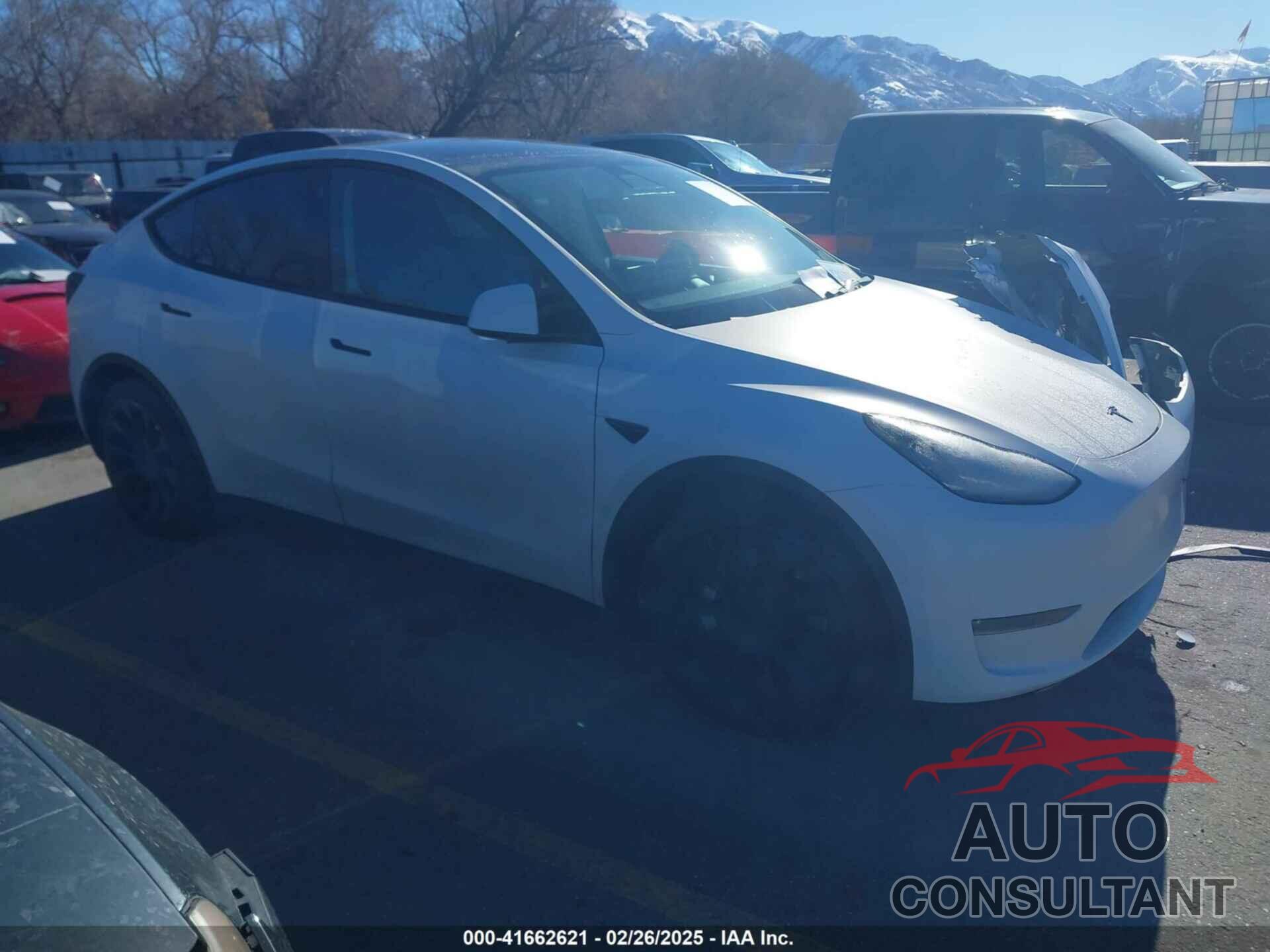TESLA MODEL Y 2021 - 5YJYGDEE1MF074173