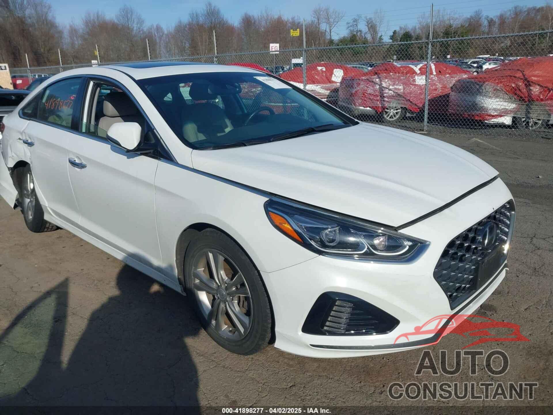 HYUNDAI SONATA 2019 - 5NPE34AF0KH737194