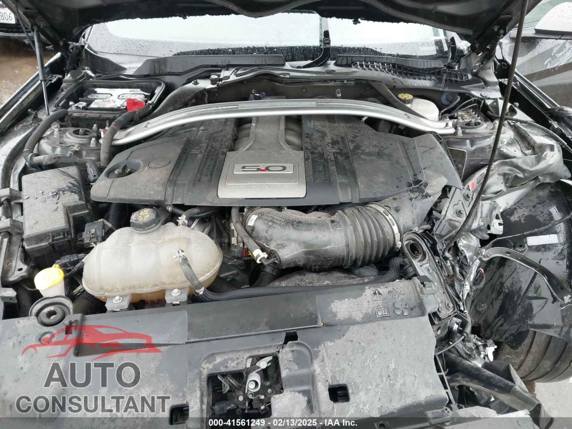 FORD MUSTANG 2019 - 1FA6P8CF9K5106575