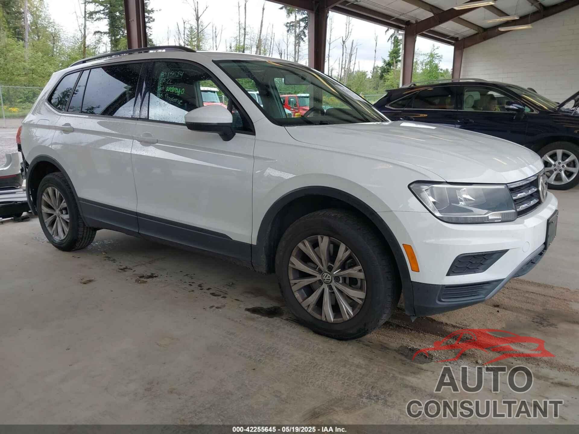VOLKSWAGEN TIGUAN 2019 - 3VV1B7AXXKM096434