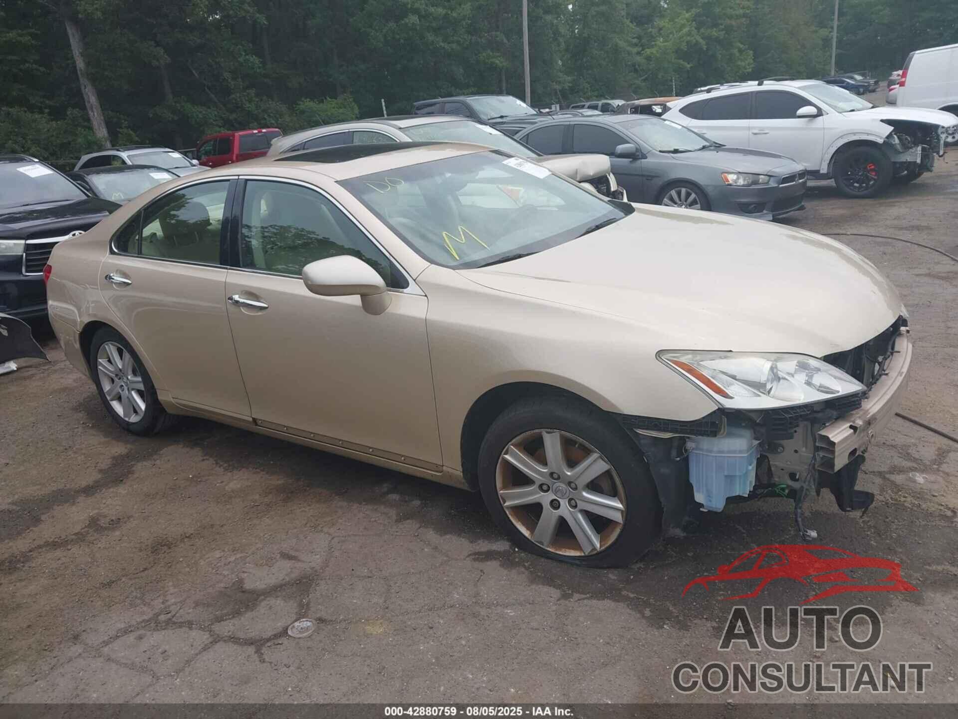 LEXUS ES 350 2009 - JTHBJ46G092334921