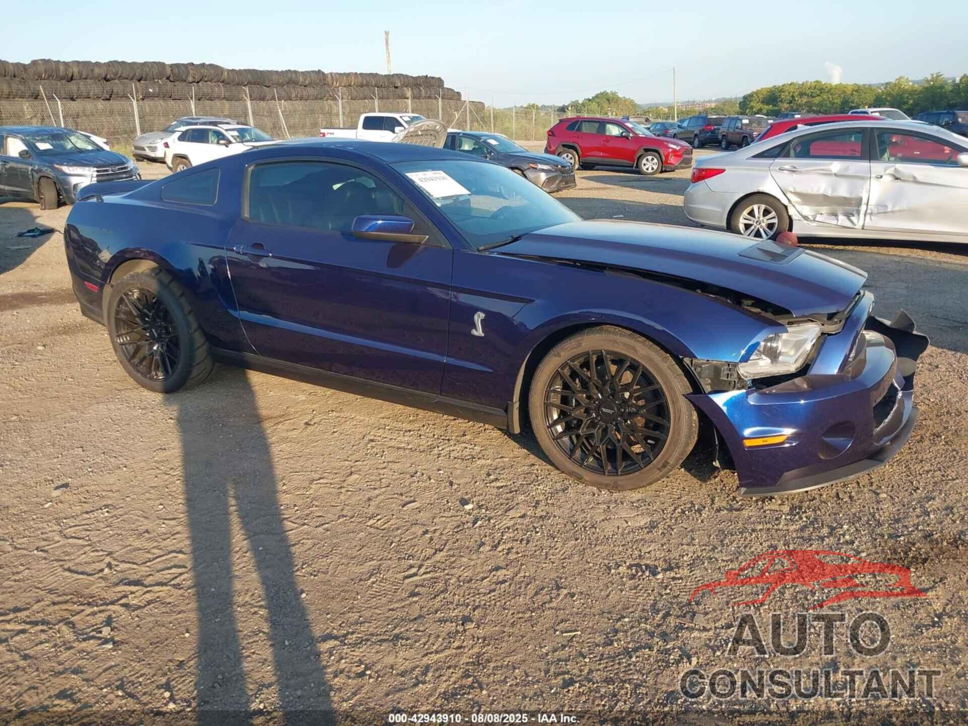 FORD SHELBY GT500 2011 - 1ZVBP8JS4B5150988