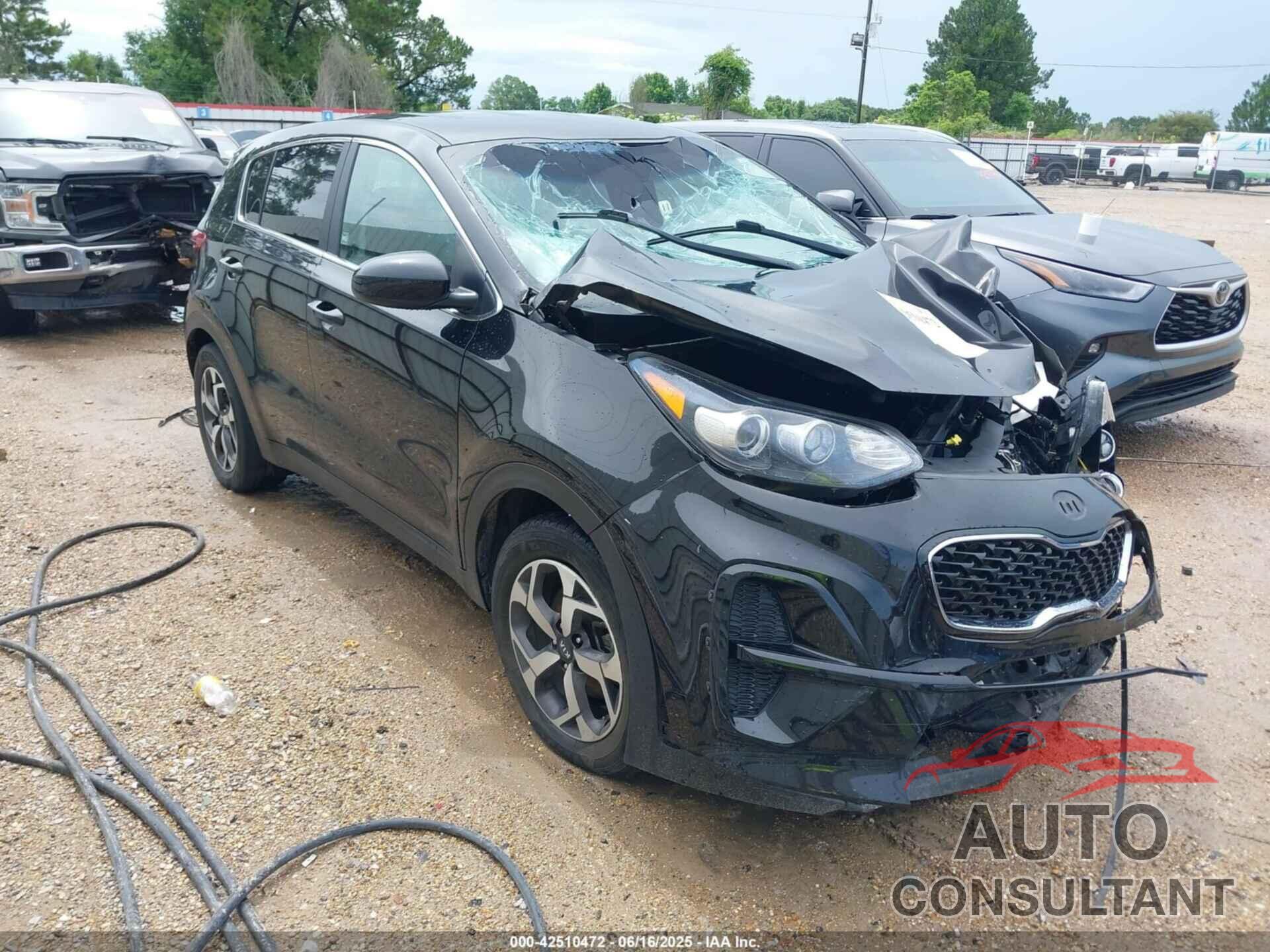 KIA SPORTAGE 2022 - KNDPM3AC6N7966588