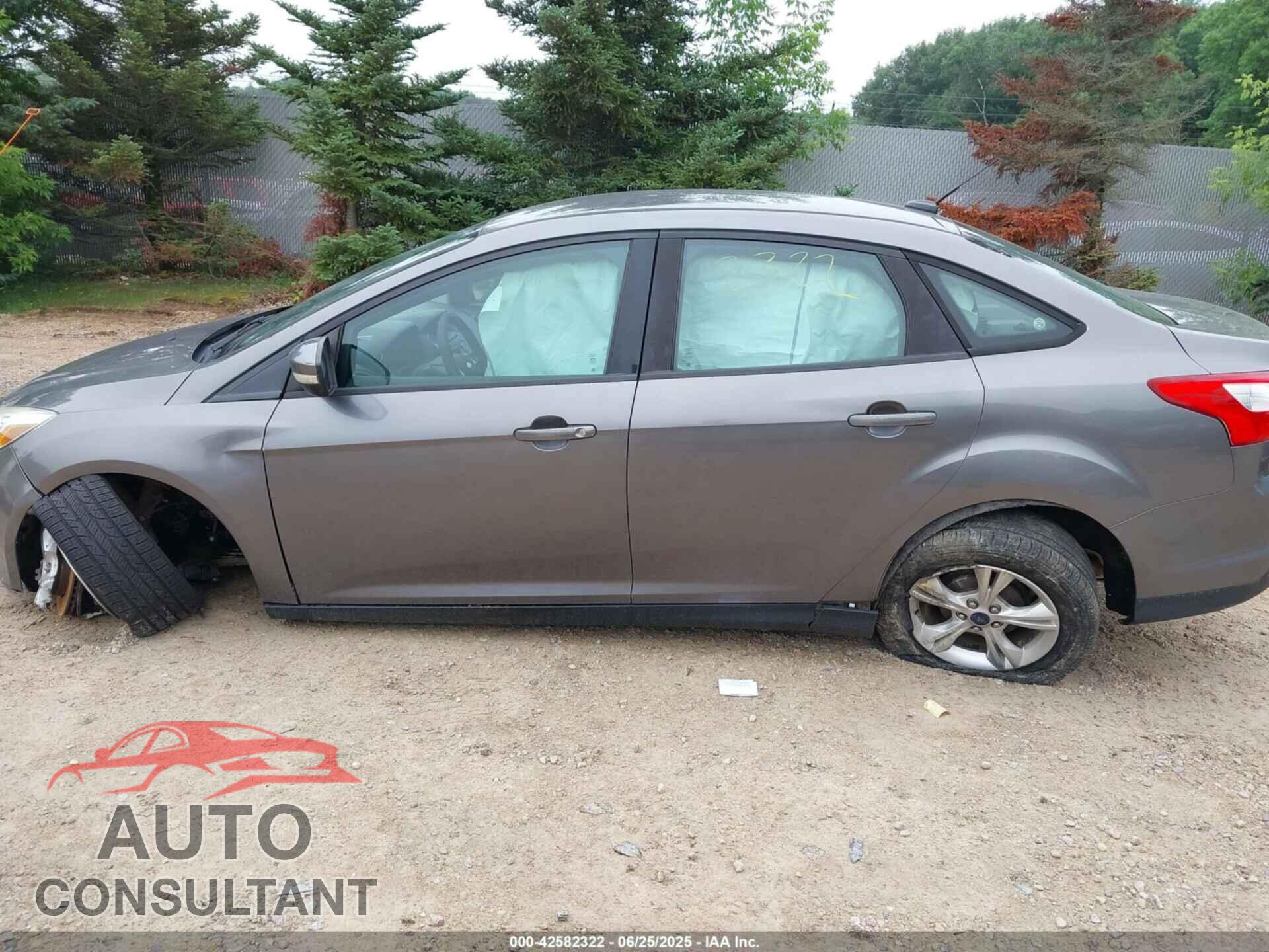 FORD FOCUS 2014 - 1FADP3F20EL244816