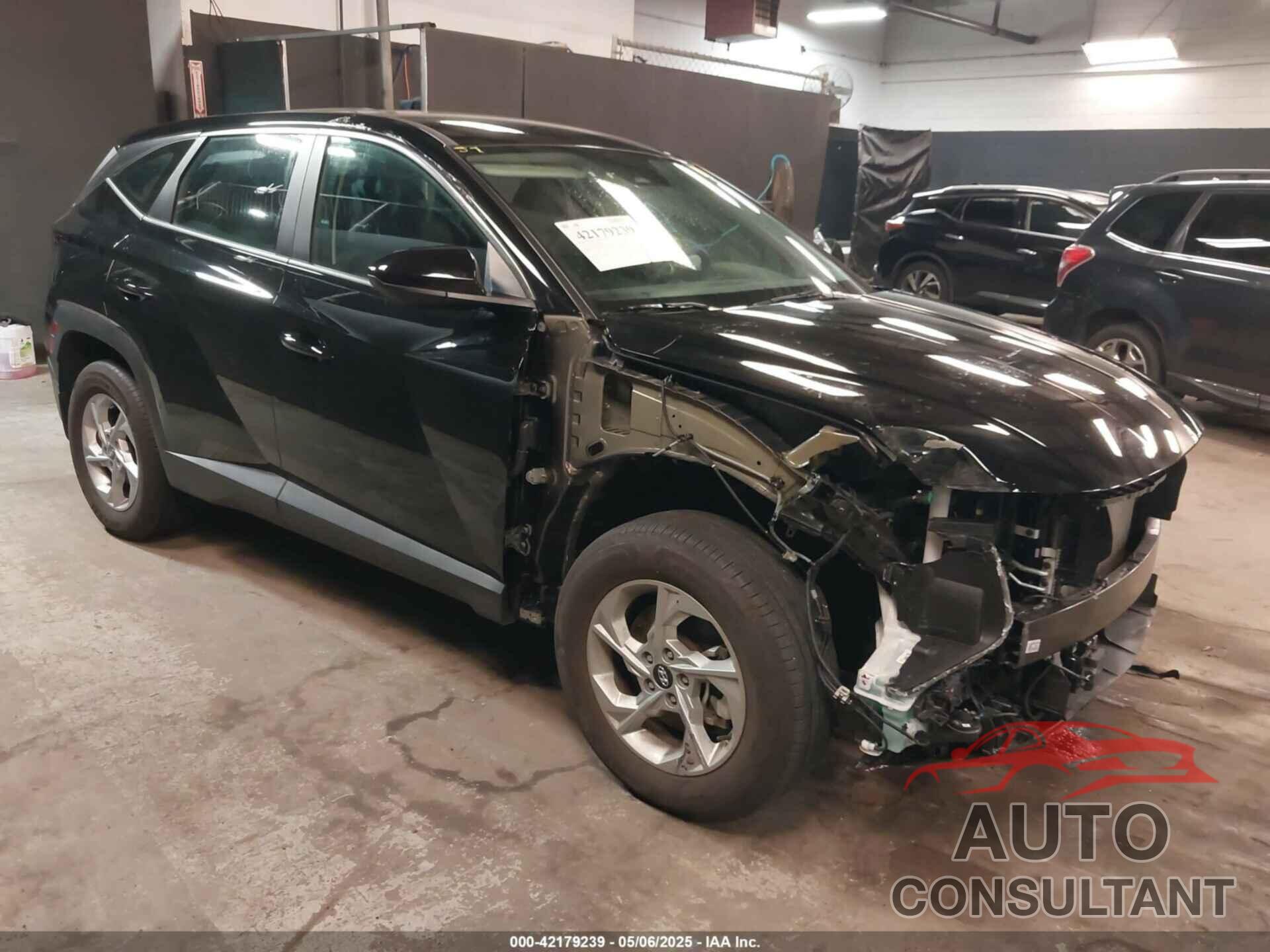 HYUNDAI TUCSON 2024 - 5NMJACDE9RH400077