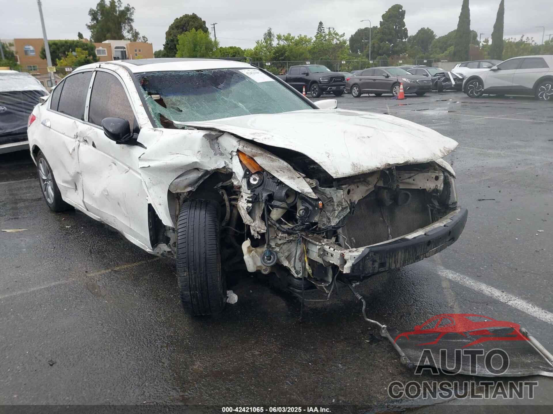 HONDA ACCORD 2012 - 1HGCP3F81CA041065