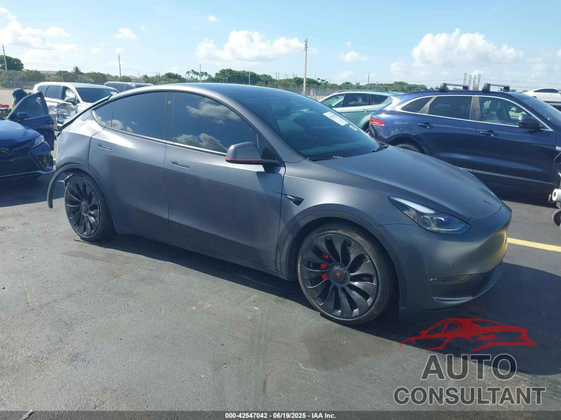TESLA MODEL Y 2022 - 7SAYGDEF5NF452248