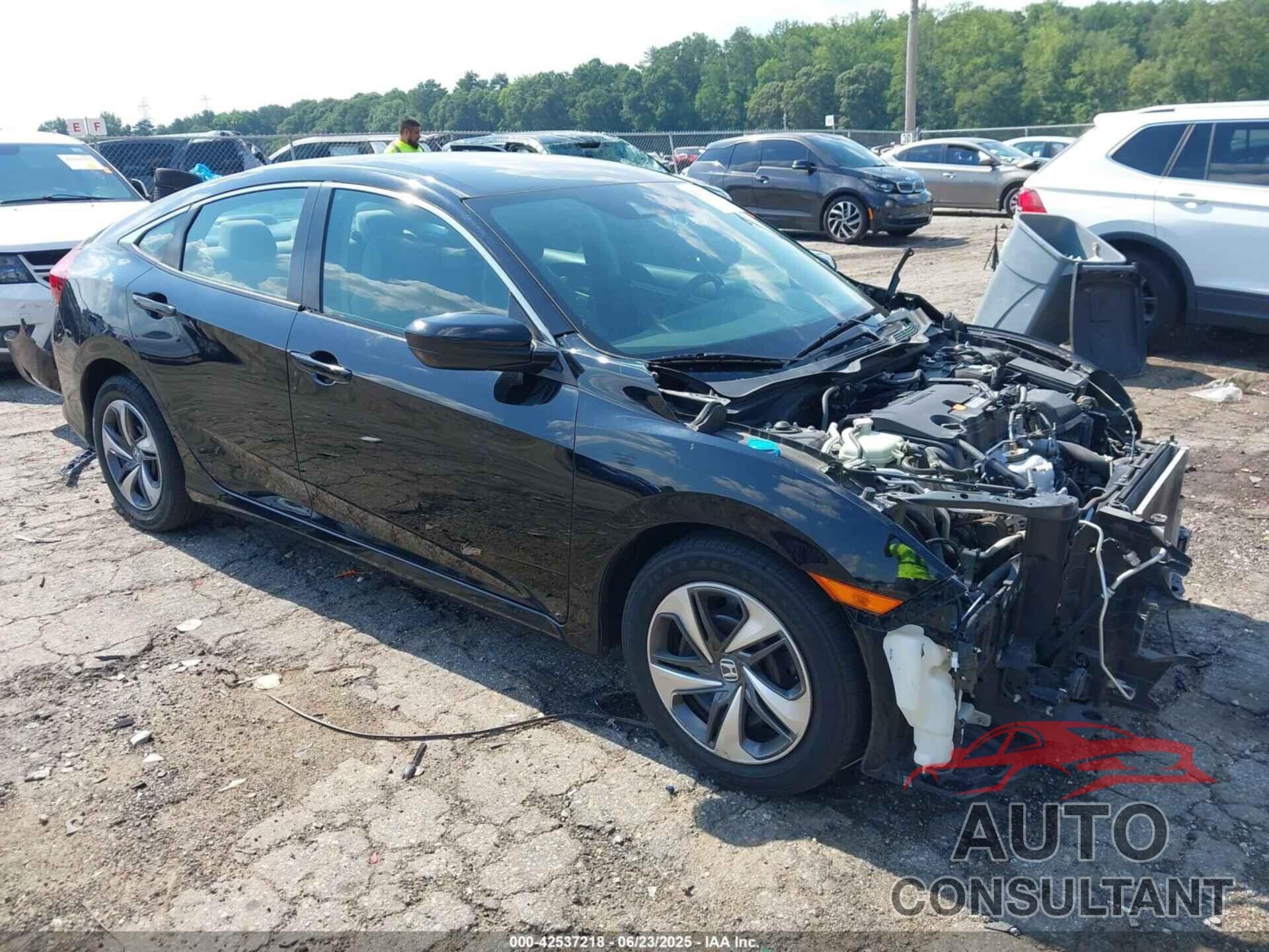 HONDA CIVIC 2019 - 2HGFC2F65KH509414
