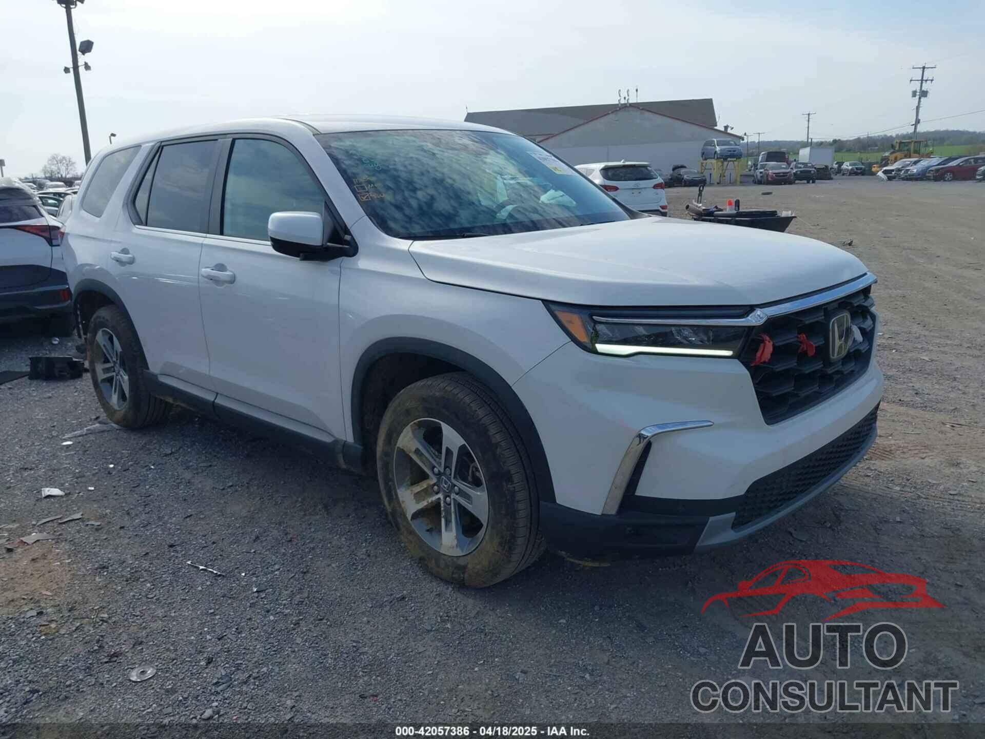 HONDA PILOT 2025 - 5FNYG1H45SB041515
