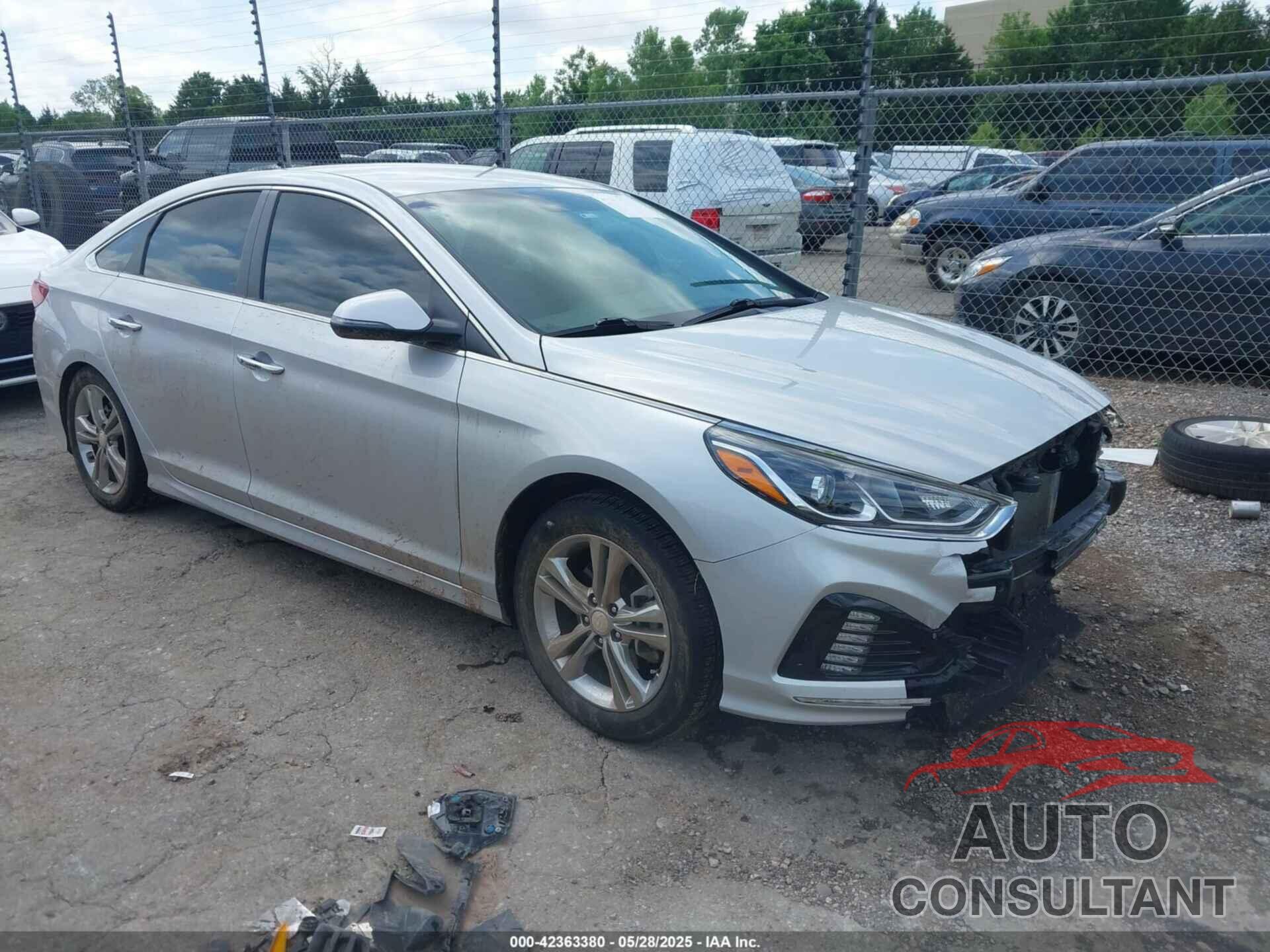 HYUNDAI SONATA 2019 - 5NPE34AF8KH762604
