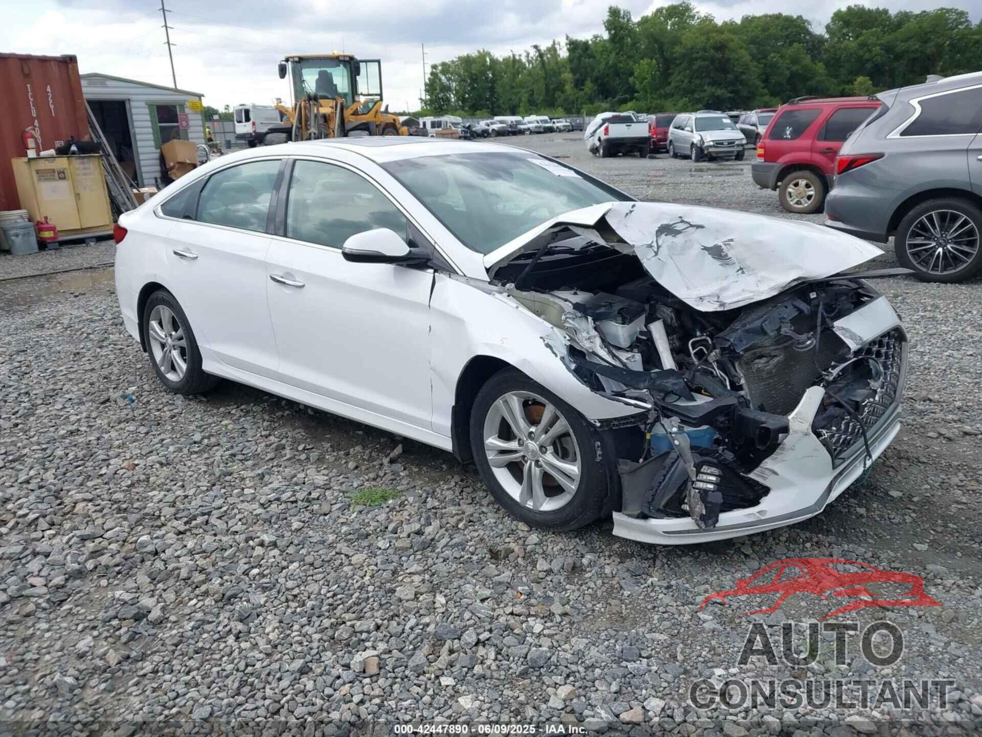 HYUNDAI SONATA 2019 - 5NPE34AF9KH752647