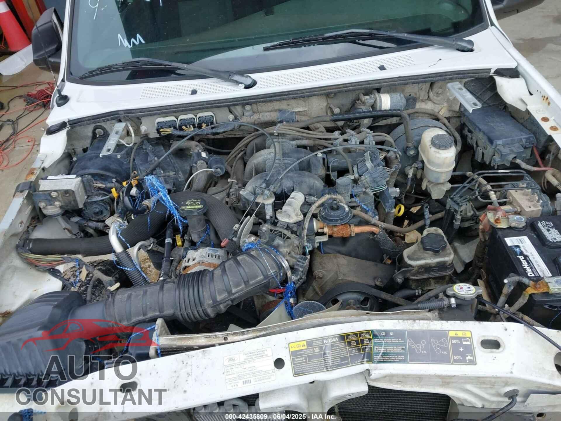 FORD RANGER 2011 - 1FTLR4FE2BPA27434