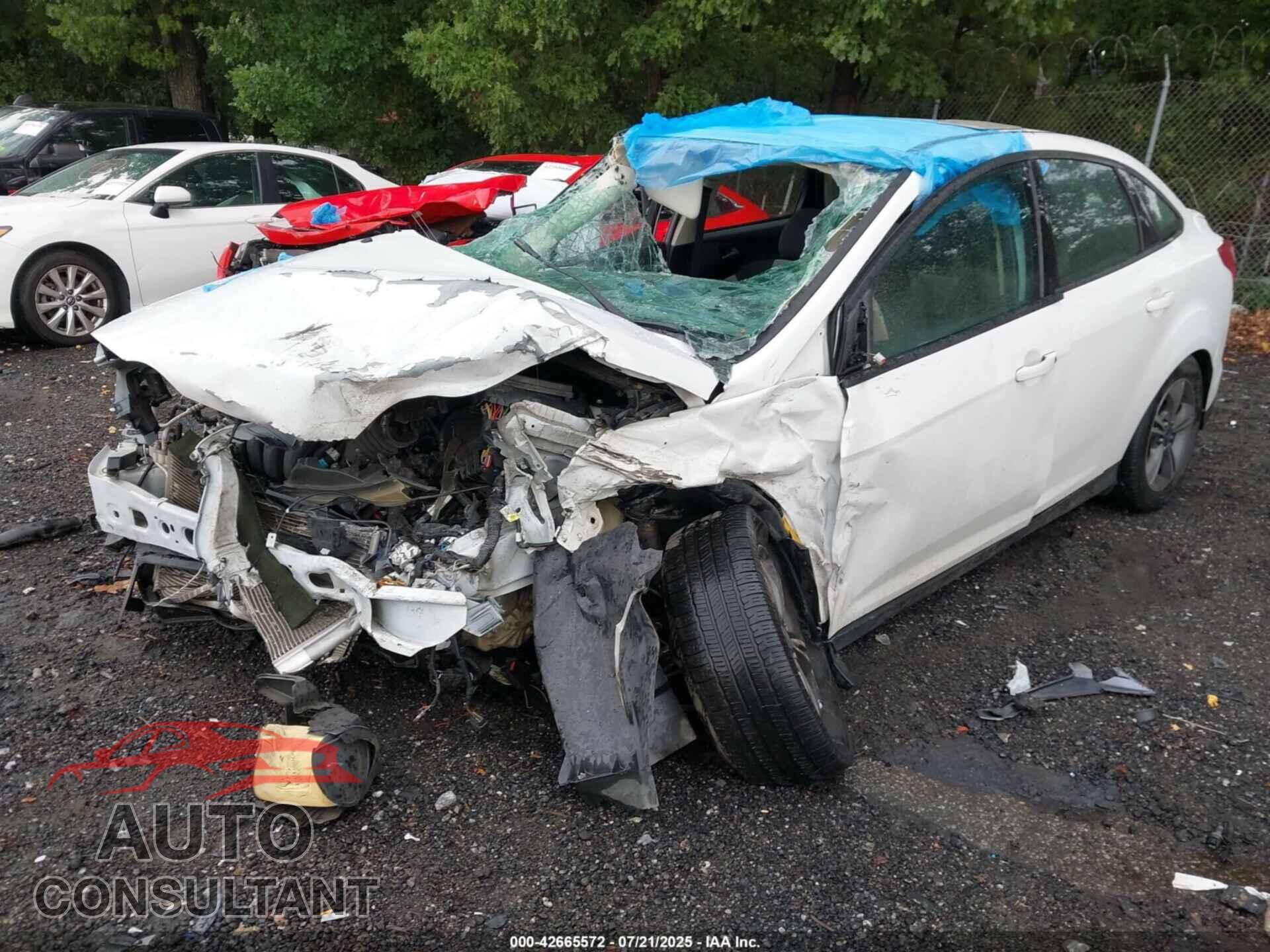 FORD FOCUS 2014 - 1FADP3F25EL203131