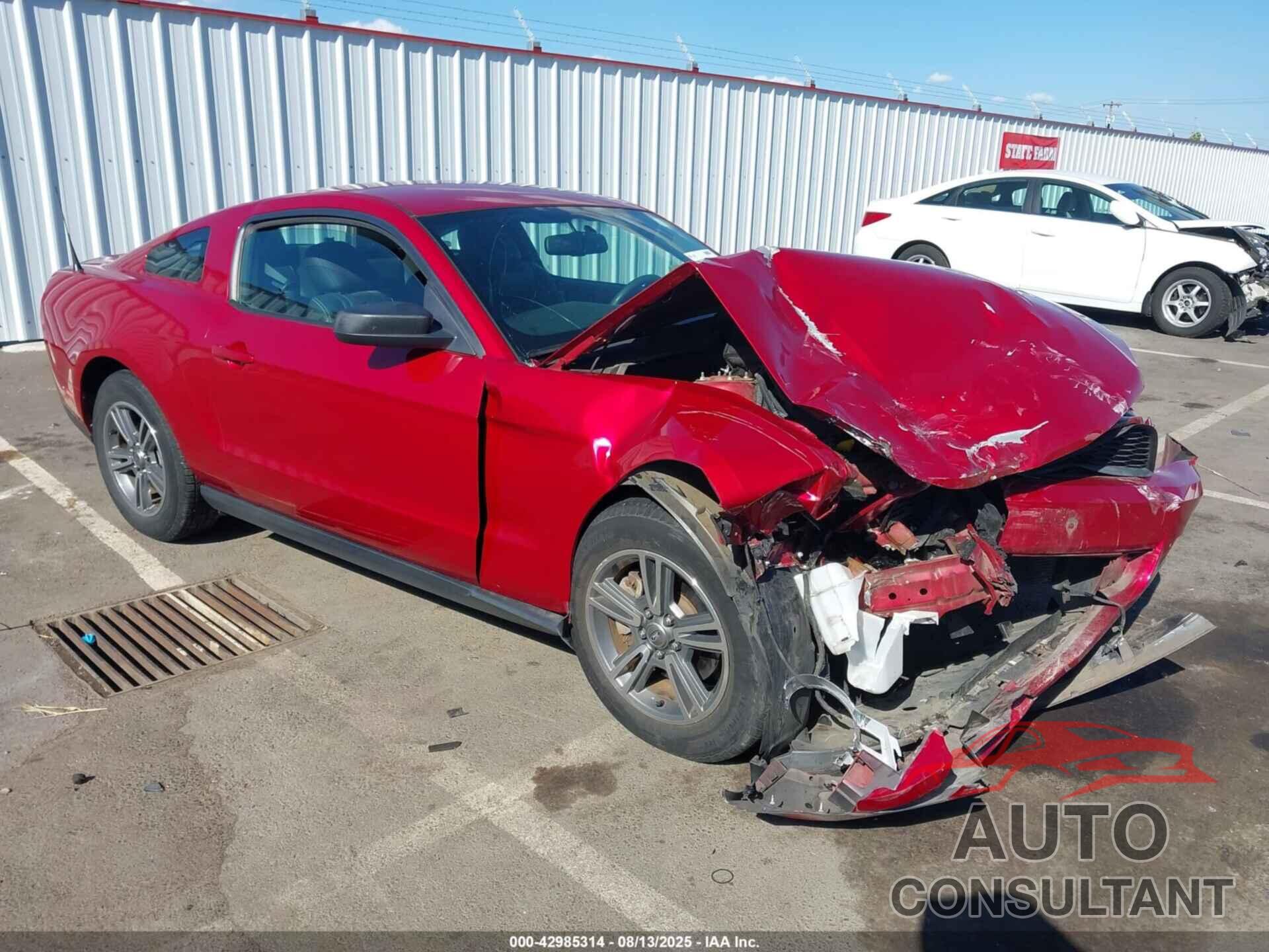 FORD MUSTANG 2011 - 1ZVBP8AM9B5163415