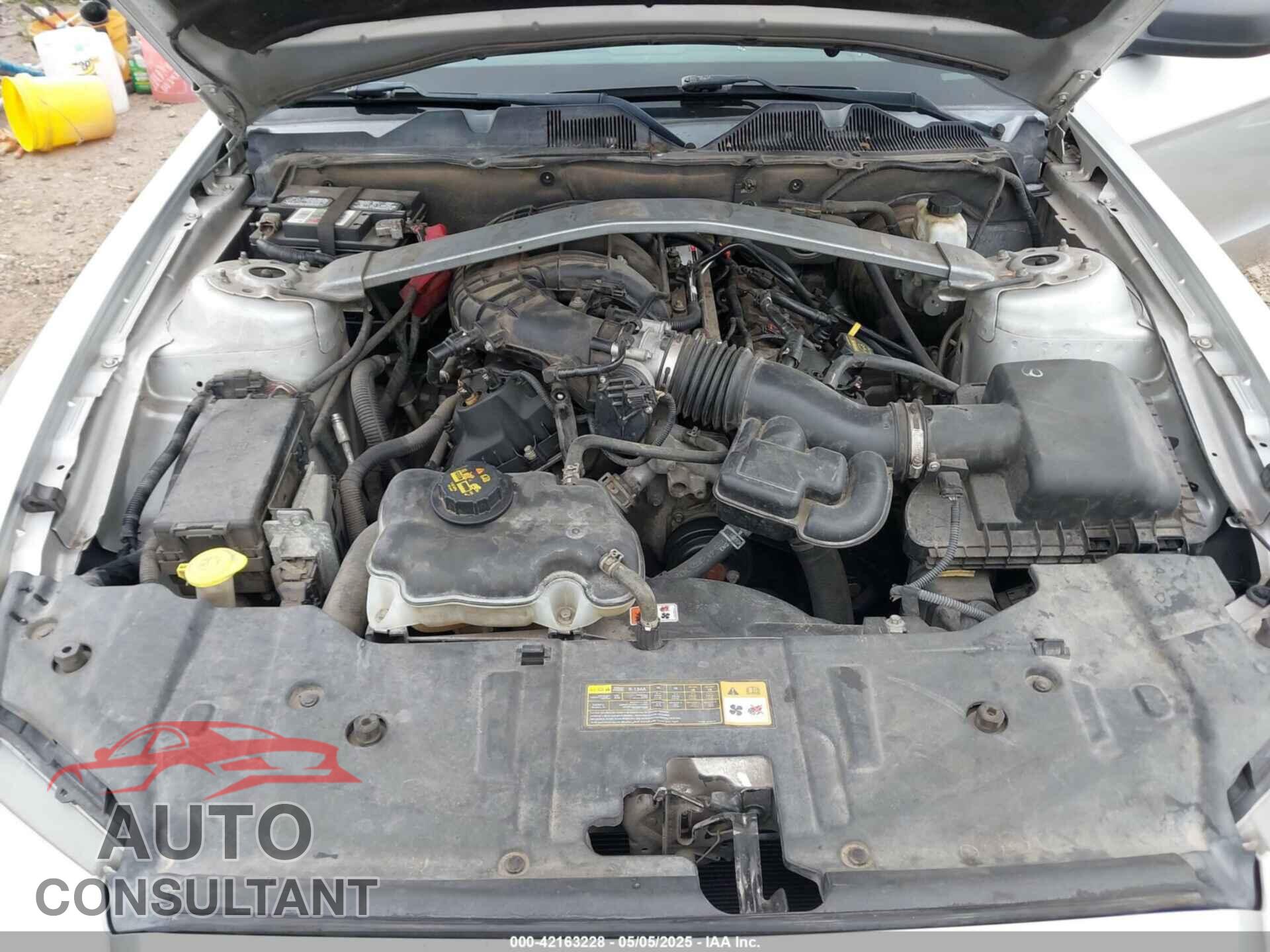 FORD MUSTANG 2014 - 1ZVBP8EM5E5229361