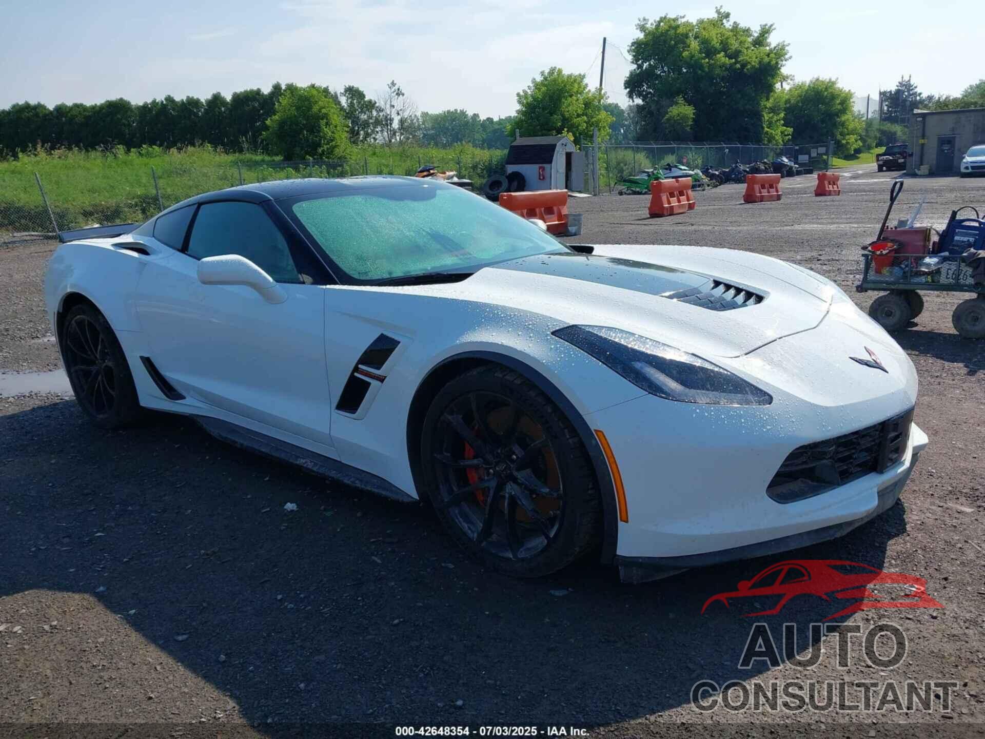 CHEVROLET CORVETTE 2019 - 1G1YY2D70K5100337