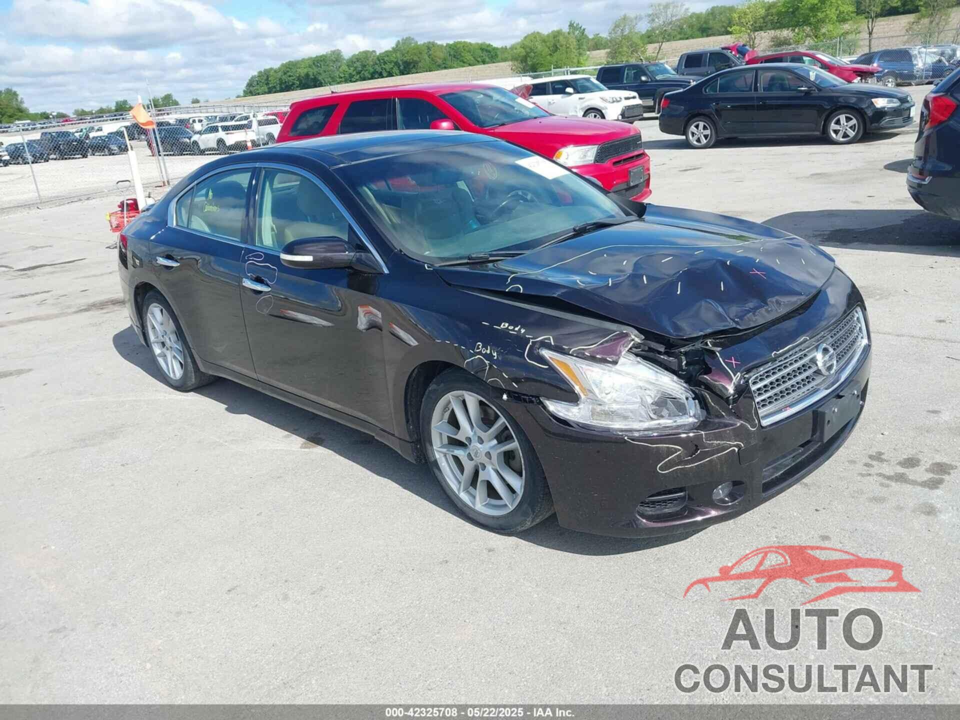 NISSAN MAXIMA 2010 - 1N4AA5AP5AC854403