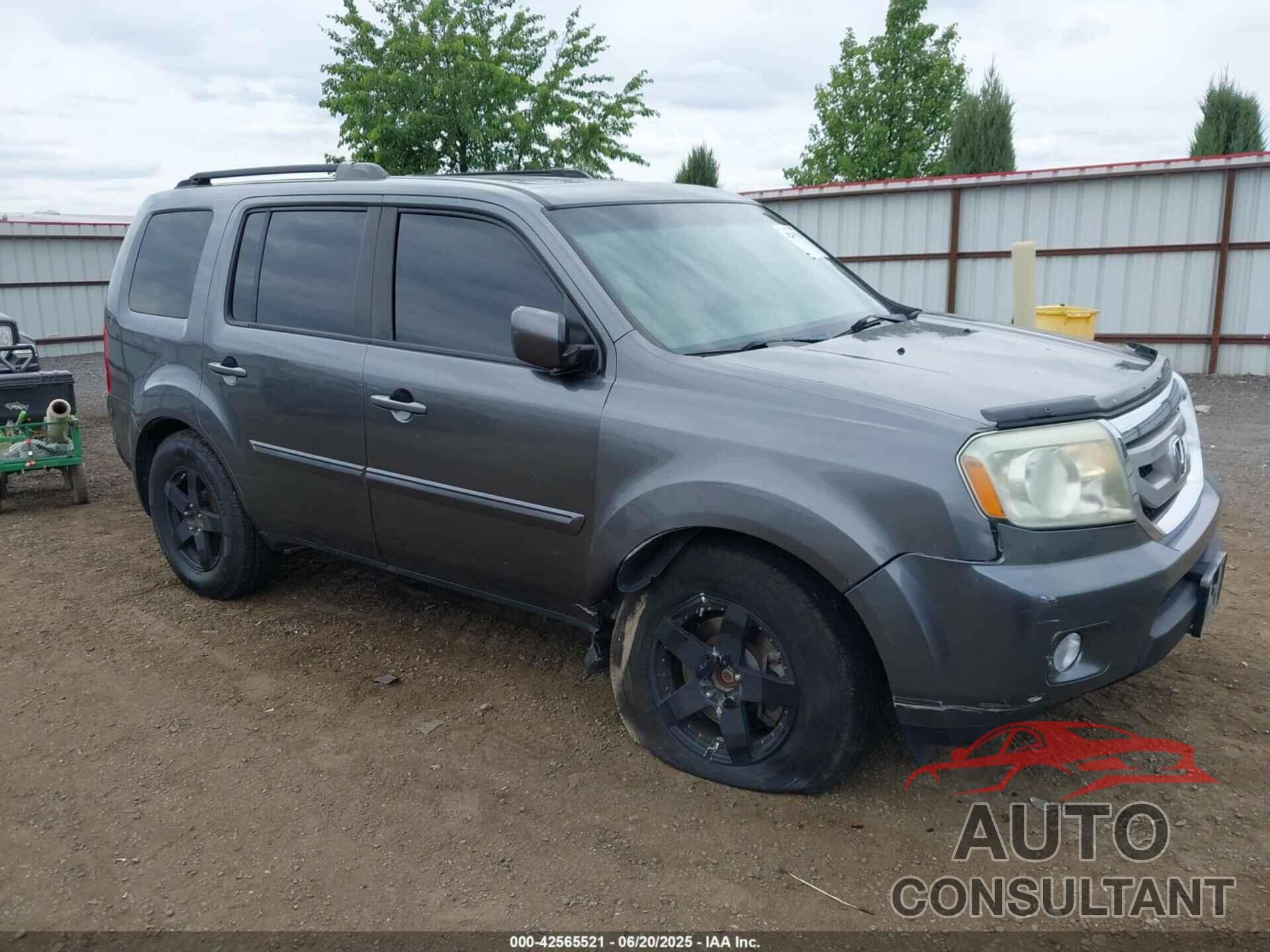 HONDA PILOT 2011 - 5FNYF4H5XBB035772