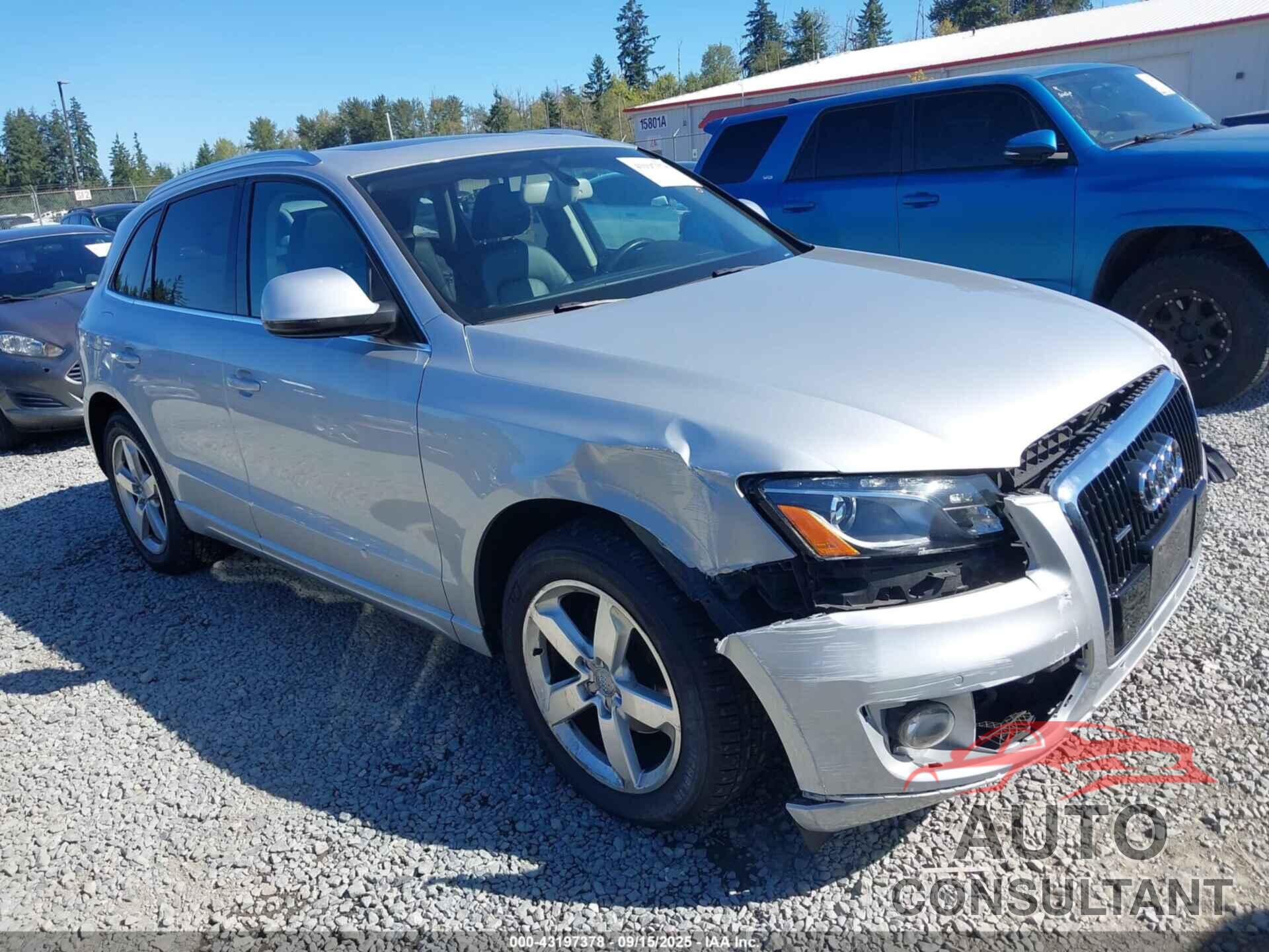 AUDI Q5 2010 - WA1LKAFP2AA101354