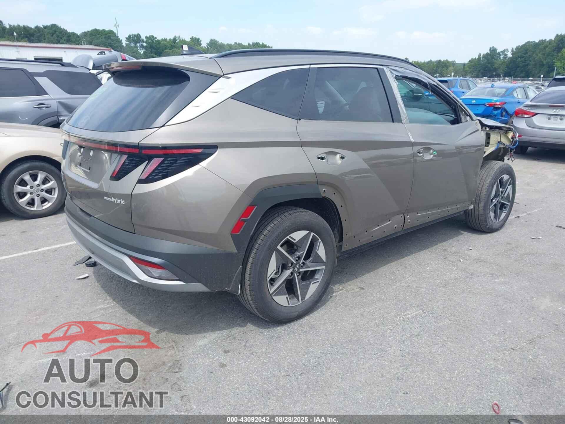 HYUNDAI TUCSON HYBRID 2025 - KM8JCDD10SU284372