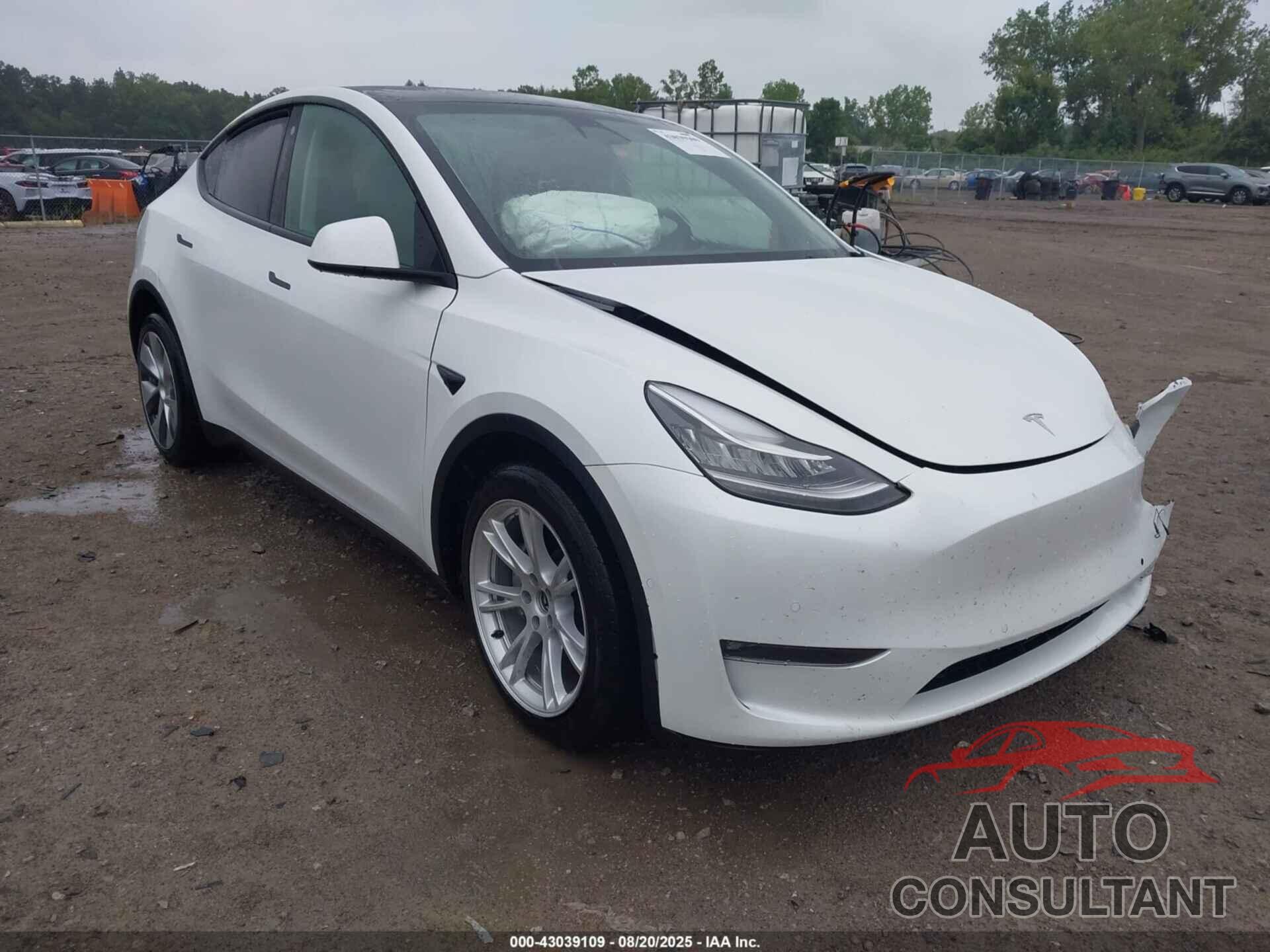 TESLA MODEL Y 2022 - 7SAYGAEE8NF467820