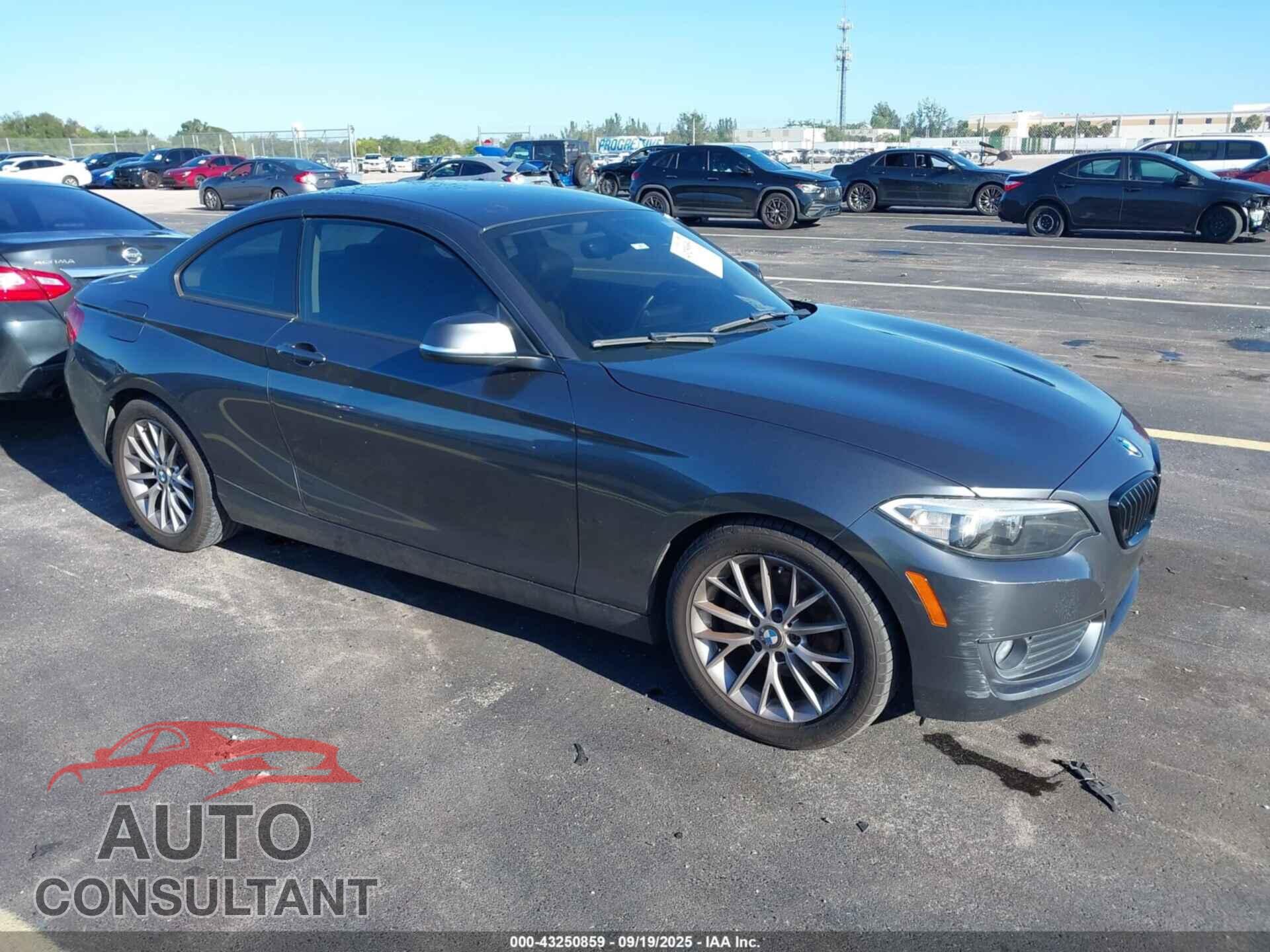 BMW 228I 2014 - WBA1F5C57EV255839