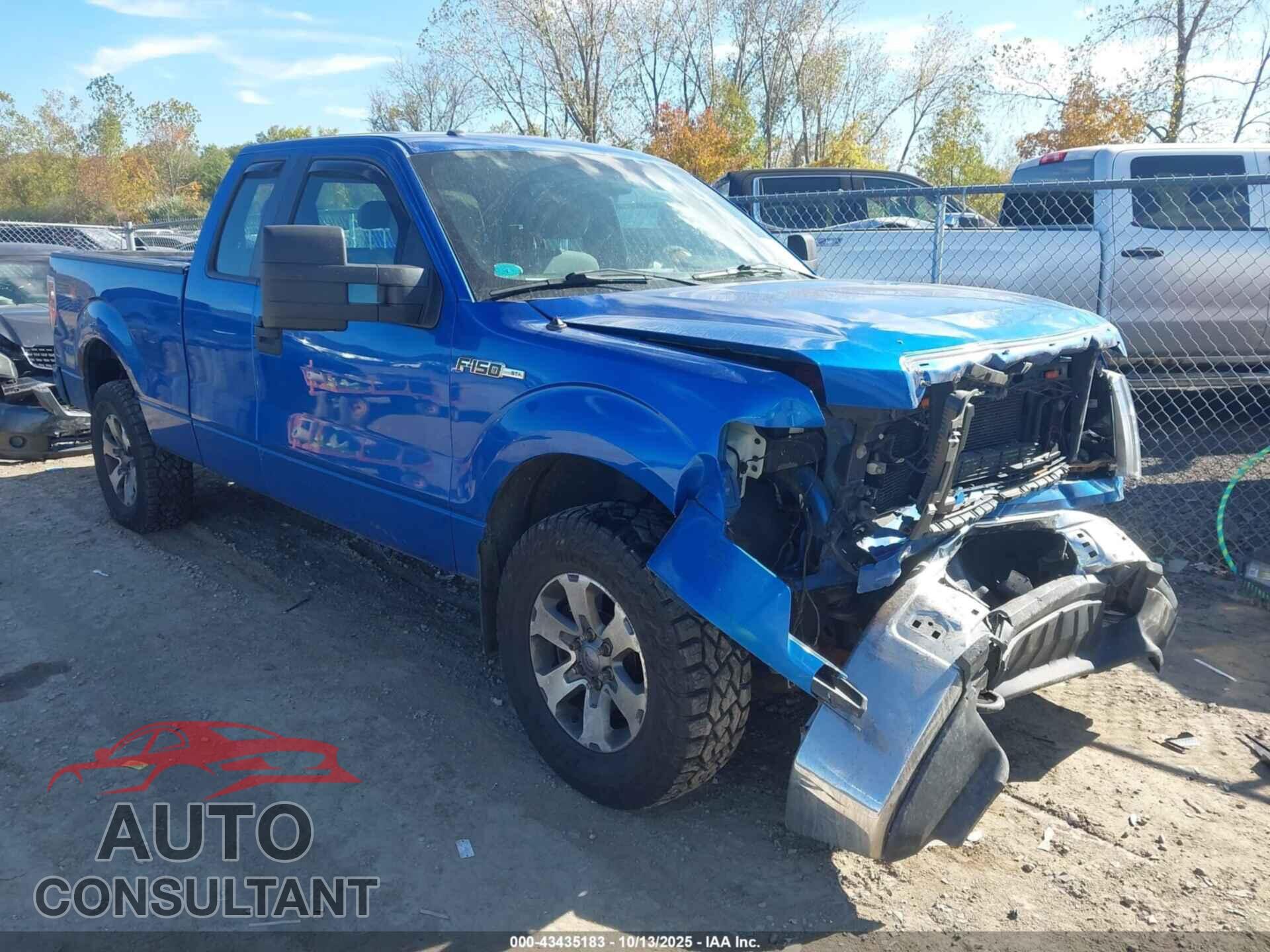 FORD F-150 2013 - 1FTFX1EF8DFD16421