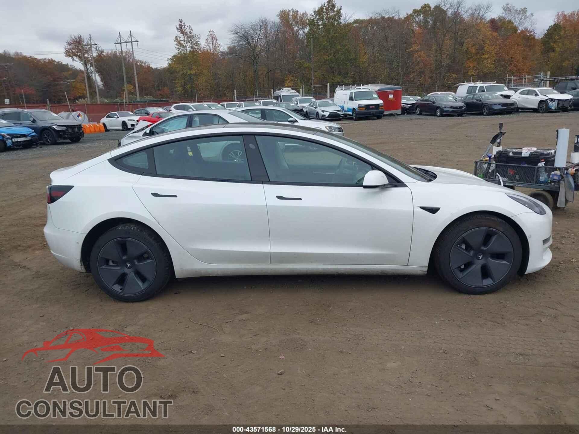 TESLA MODEL 3 2022 - 5YJ3E1EB3NF194854