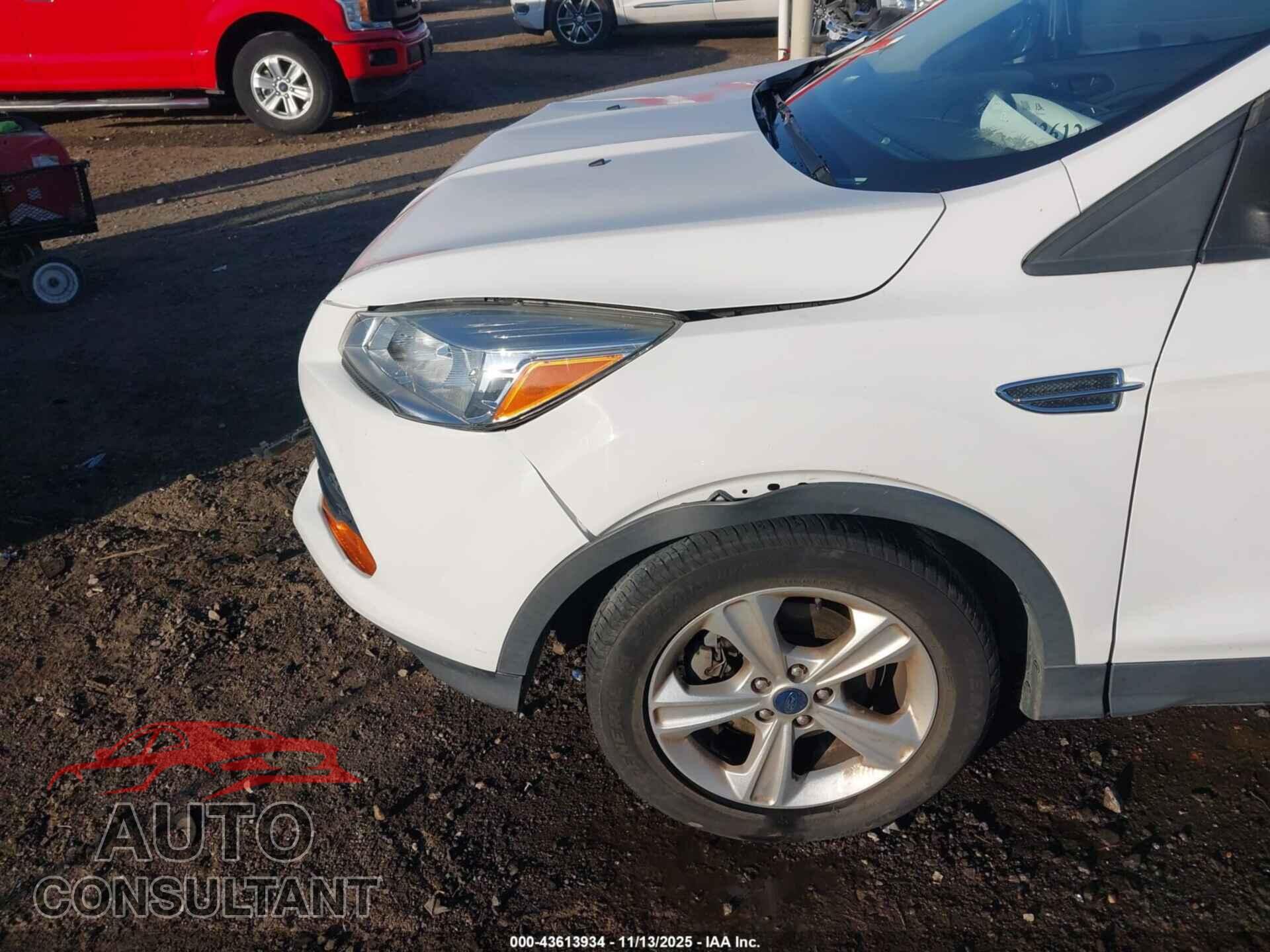 FORD ESCAPE 2014 - 1FMCU0F70EUE47302