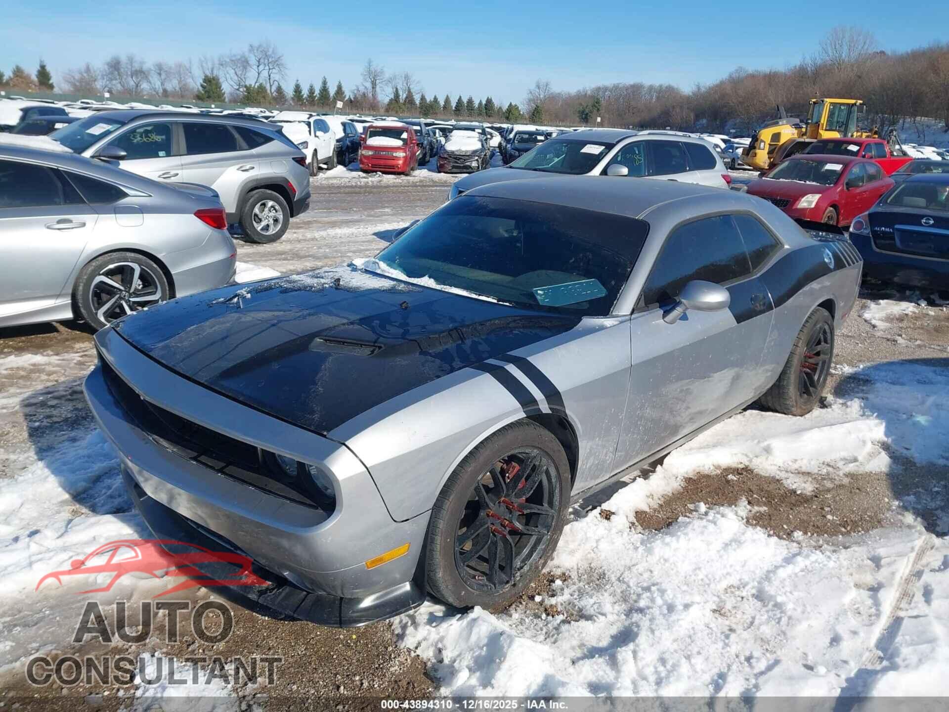 DODGE CHALLENGER 2013 - 2C3CDYBT2DH609071