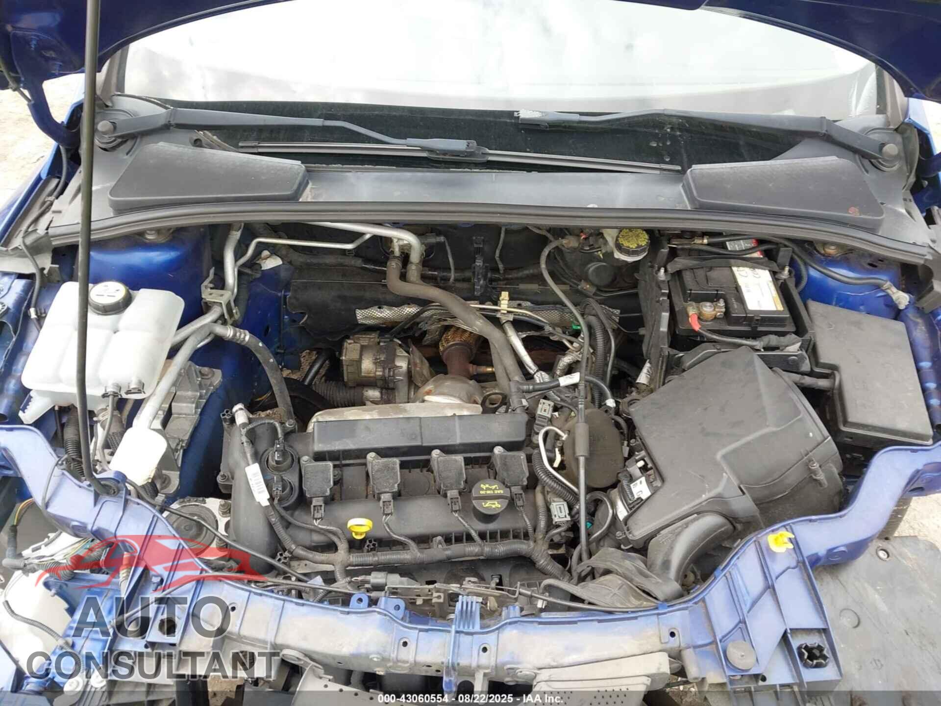 FORD FOCUS 2012 - 1FAHP3F25CL213558