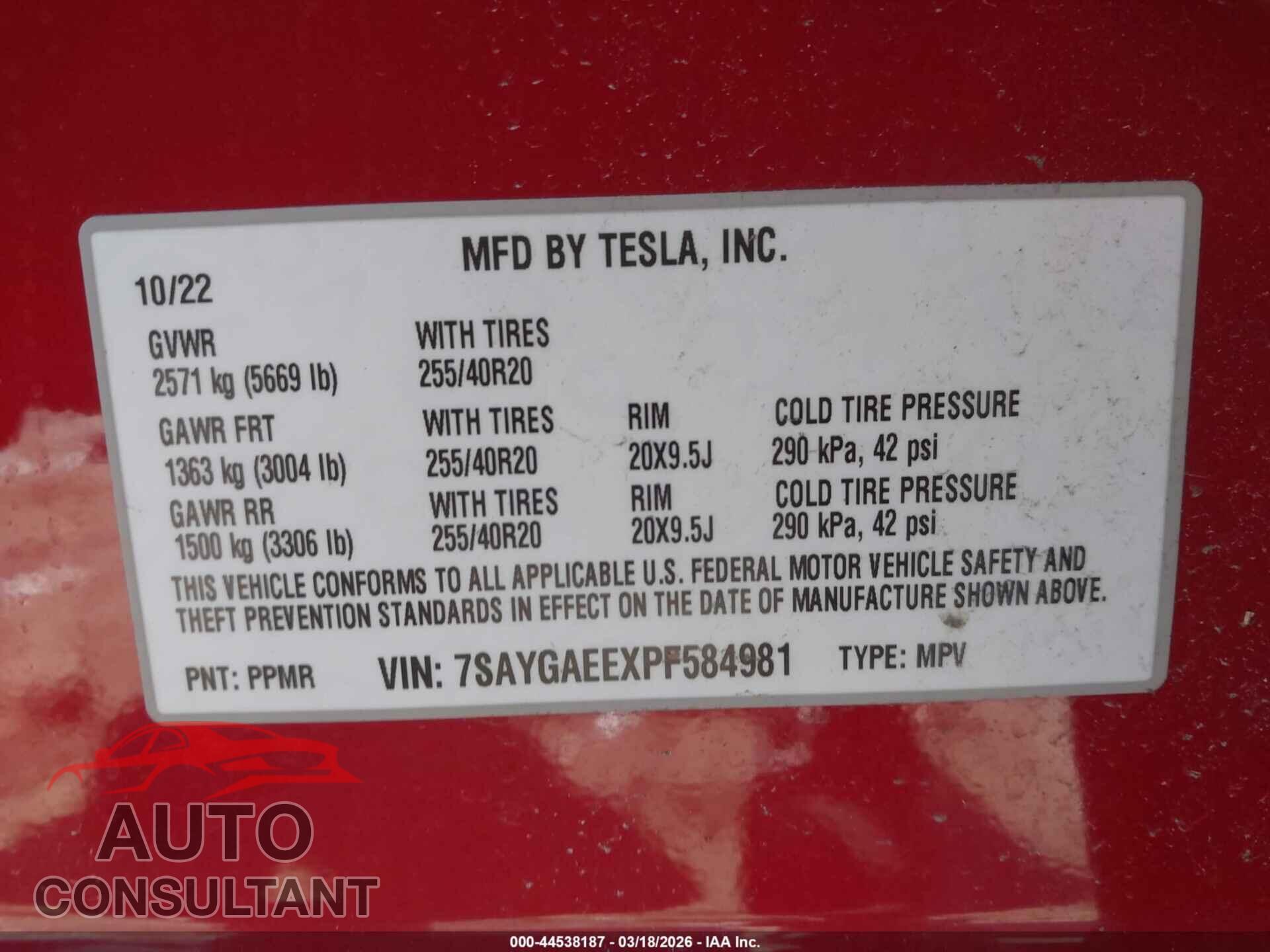 TESLA MODEL Y 2023 - 7SAYGAEEXPF584981