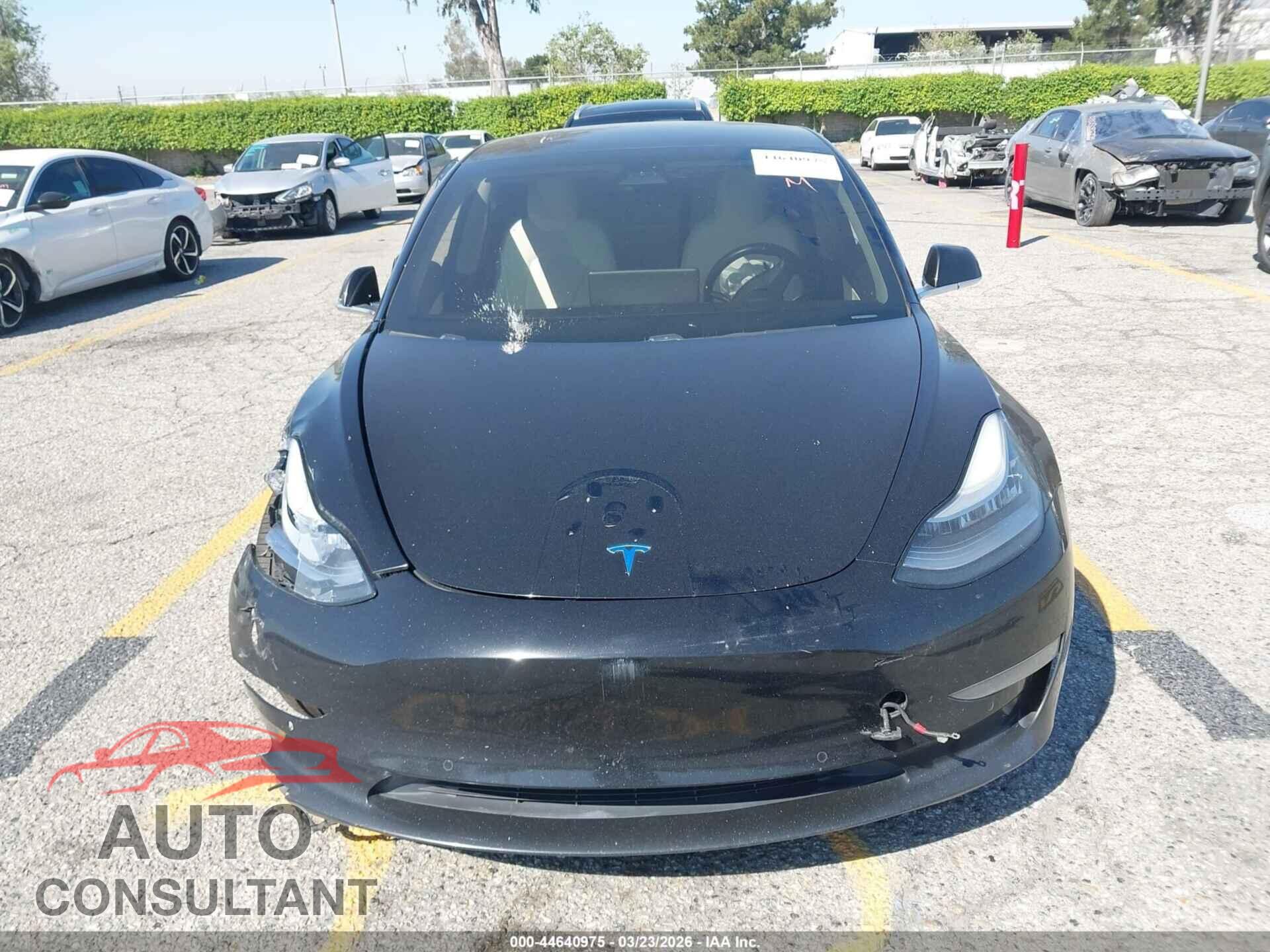 TESLA MODEL 3 2019 - 5YJ3E1EB7KF390565