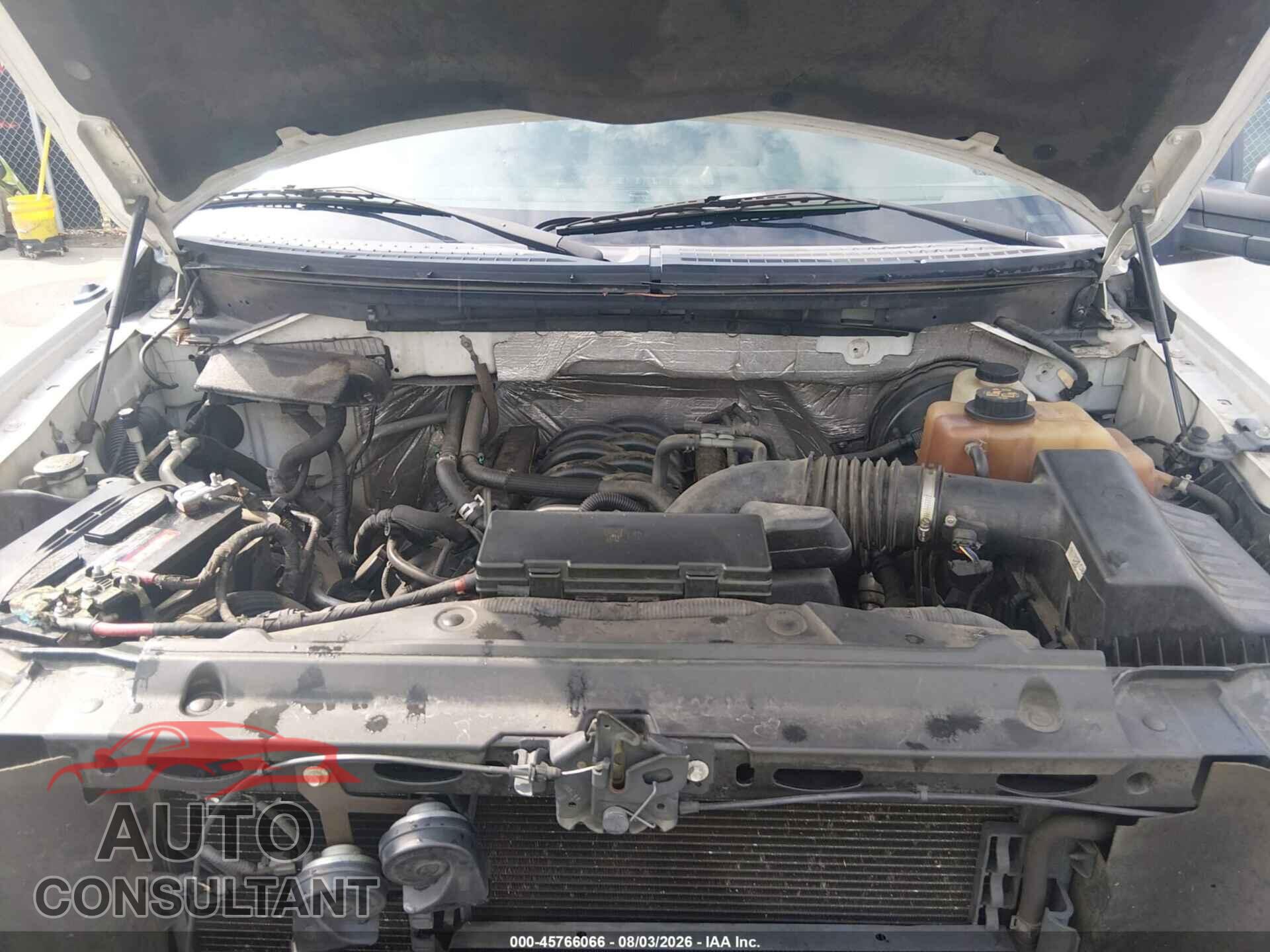 FORD F-150 2012 - 1FTFX1CFXCFA59683