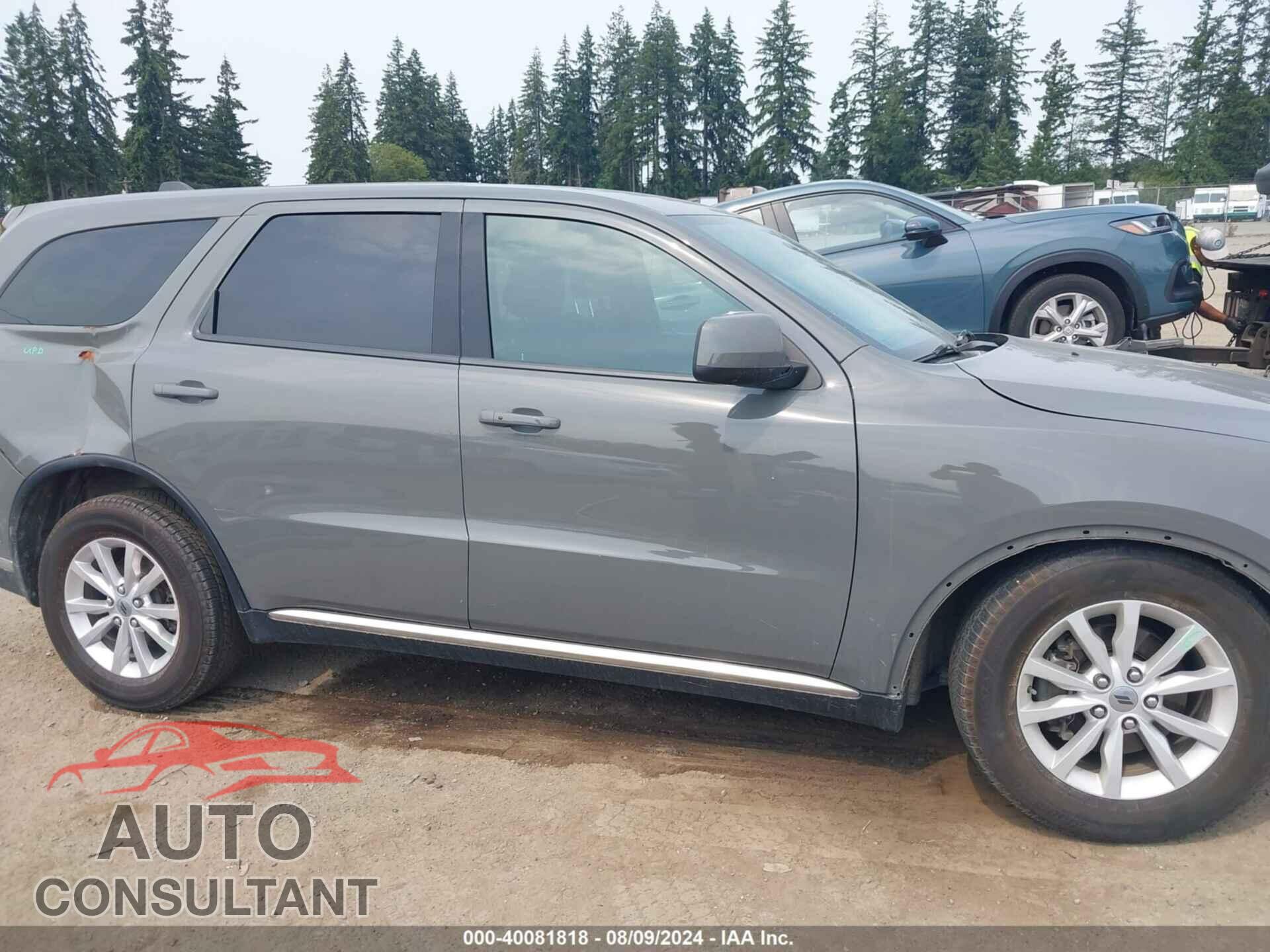 DODGE DURANGO 2019 - 1C4RDHAG7KC604748