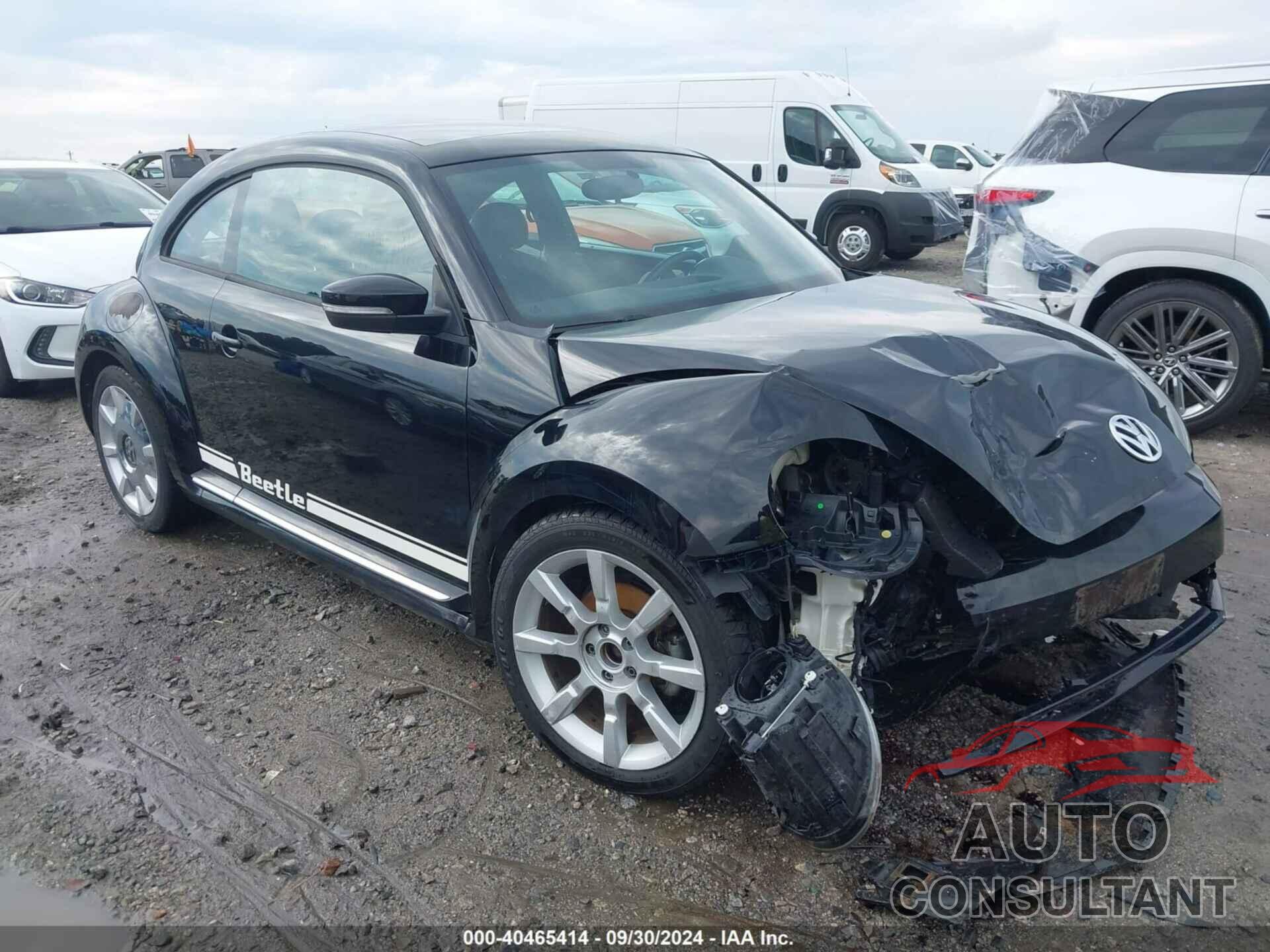 VOLKSWAGEN BEETLE 2013 - 3VWJP7AT7DM602850