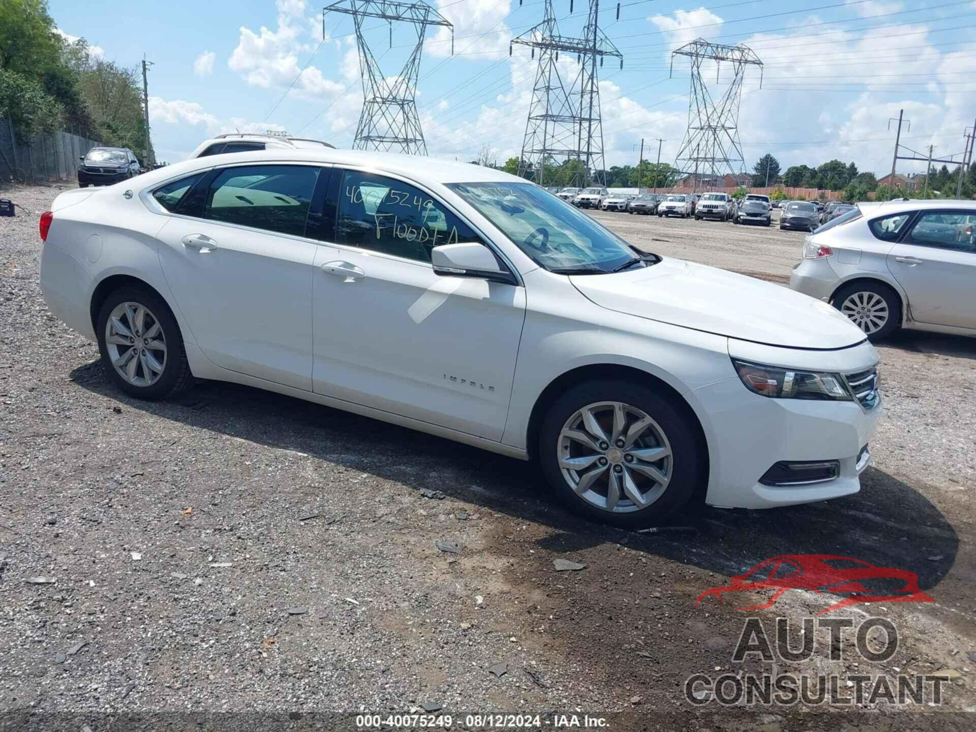 CHEVROLET IMPALA 2019 - 1G11Z5S36KU118962