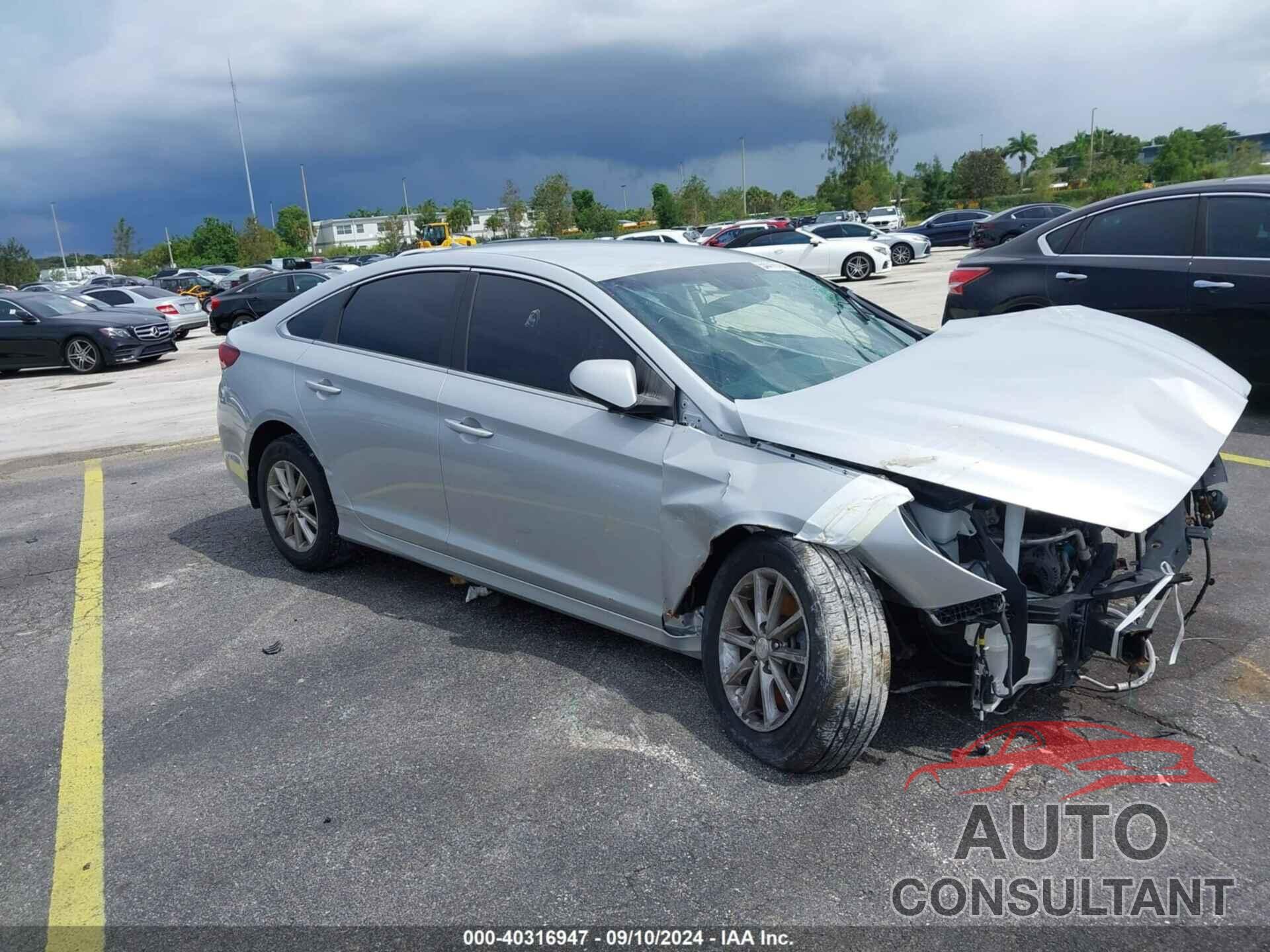 HYUNDAI SONATA 2019 - 5NPE24AF9KH808654