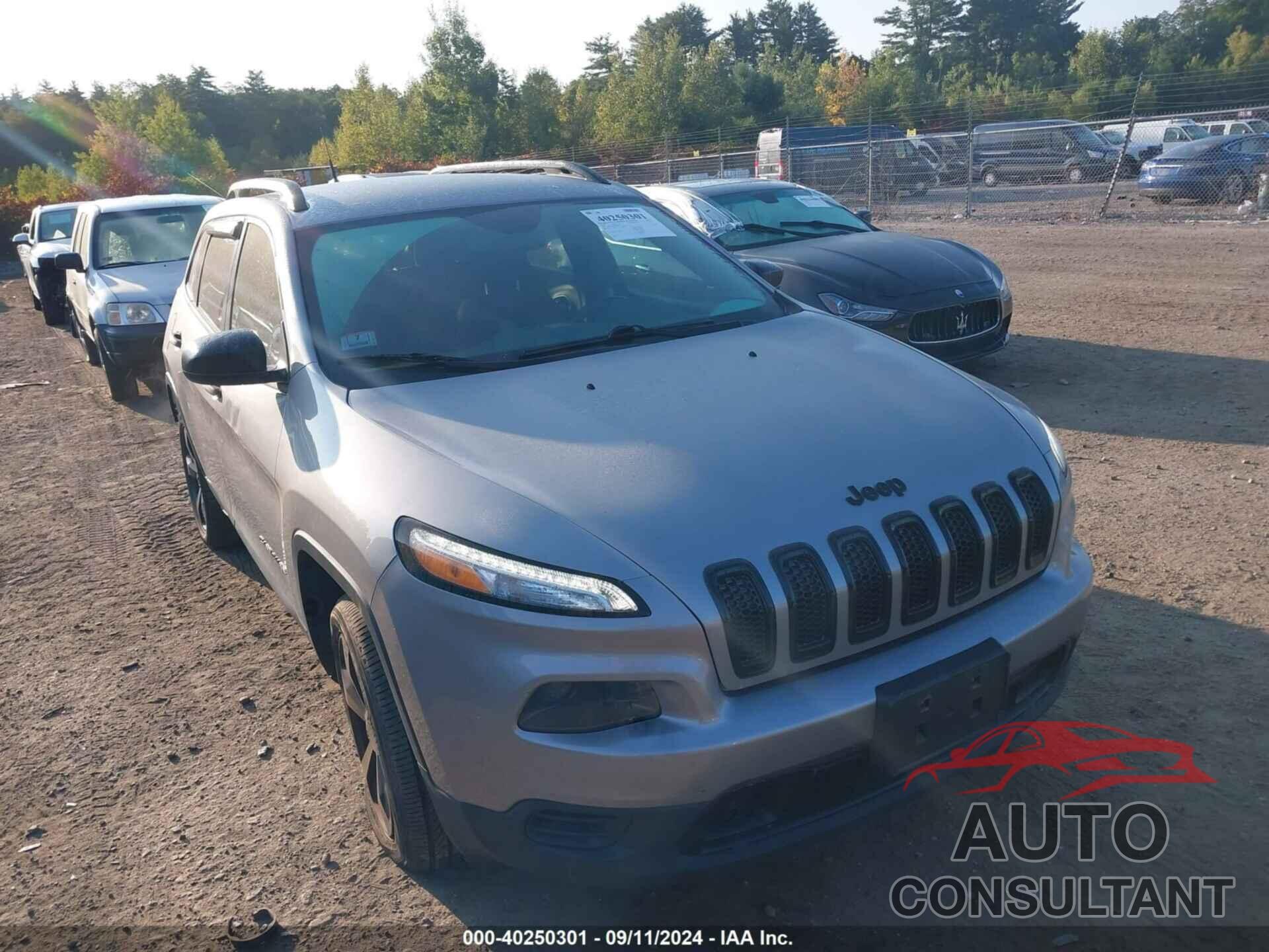 JEEP CHEROKEE 2016 - 1C4PJLAB2GW324801