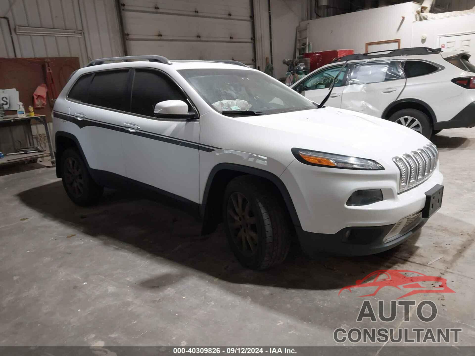 JEEP CHEROKEE 2015 - 1C4PJMDS0FW521420