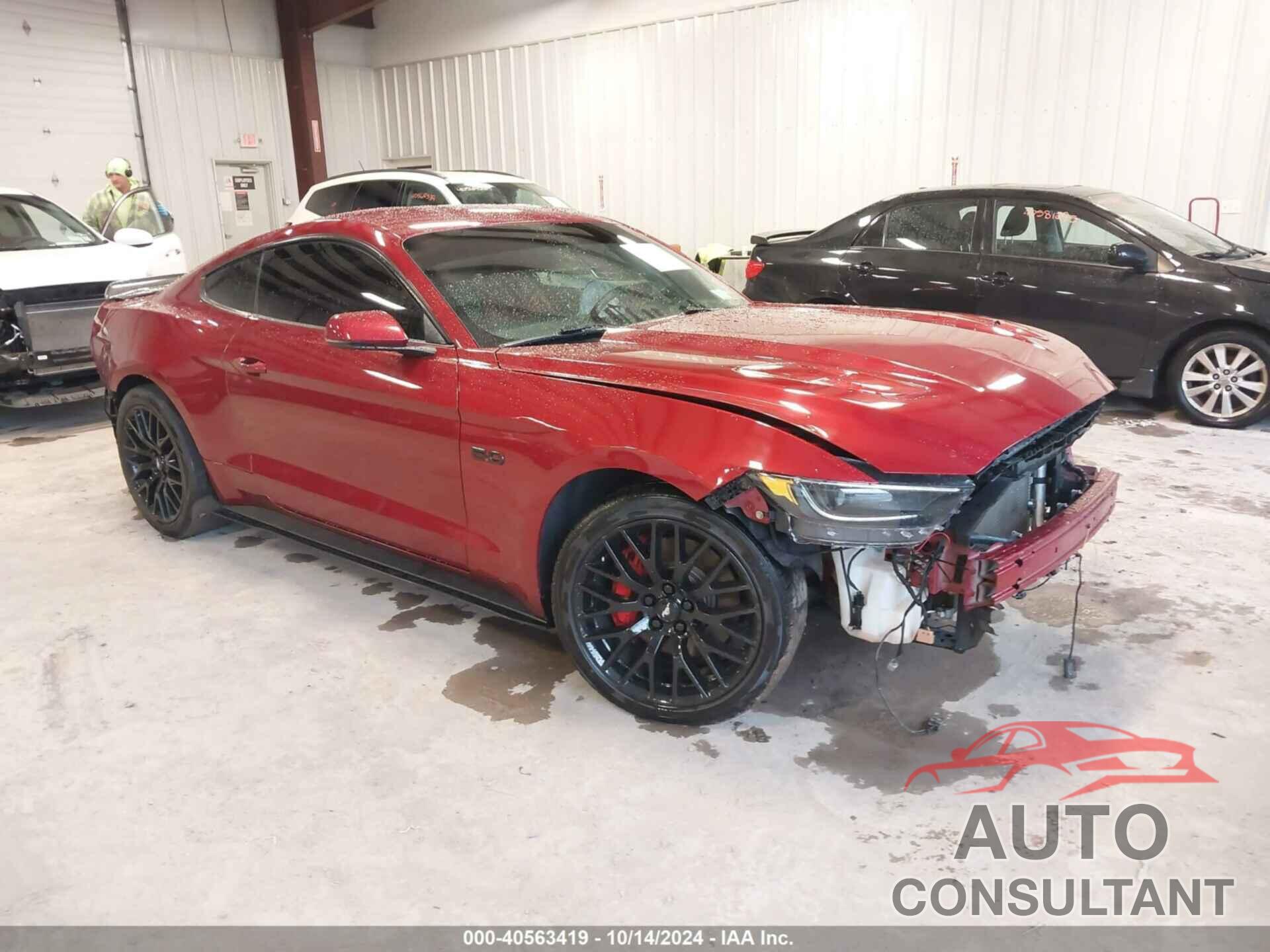 FORD MUSTANG 2016 - 1FA6P8CF4G5219681